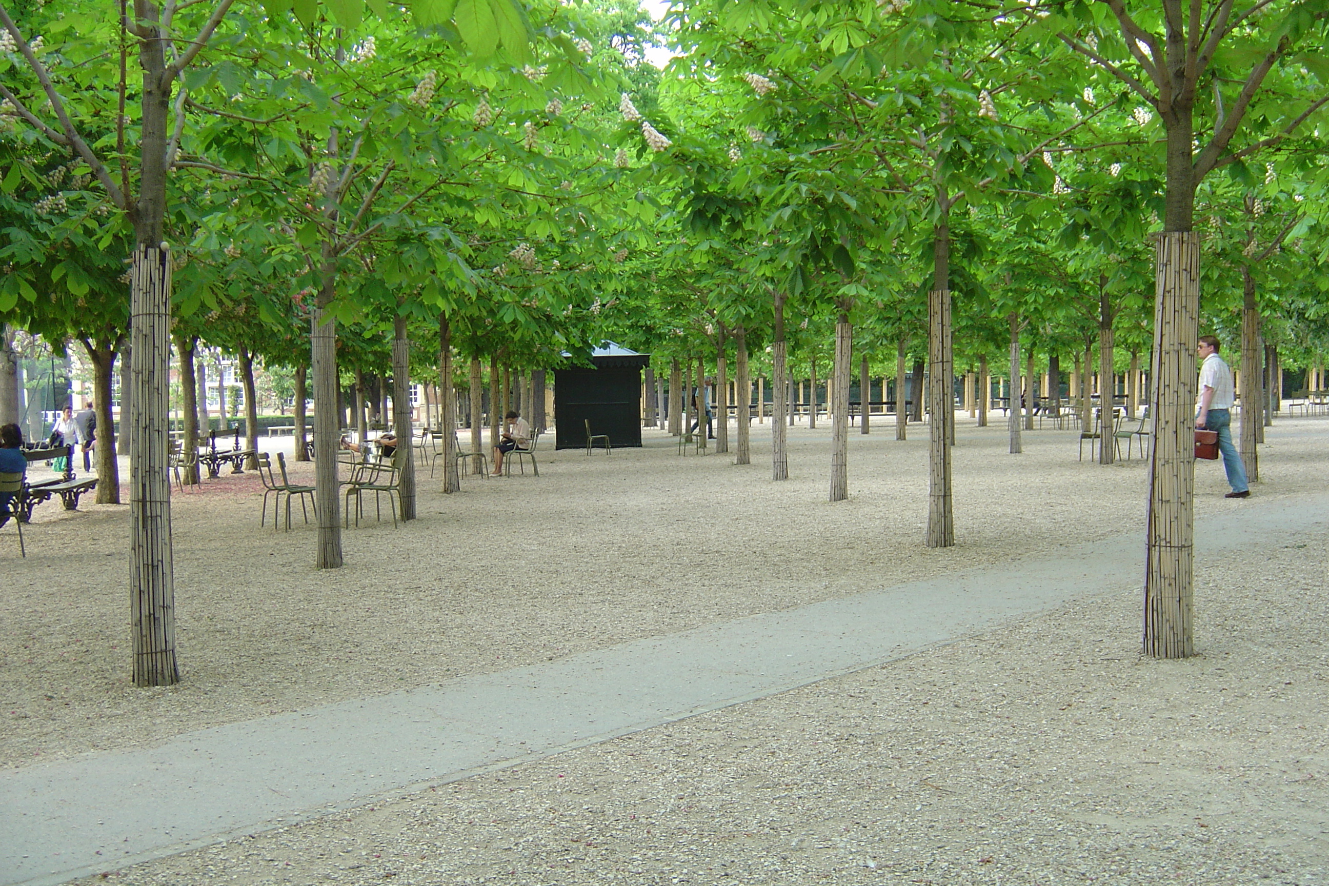 照片 法国(France) 巴黎(Paris) 卢森堡公园(Luxembourg Garden) 2007-04 95