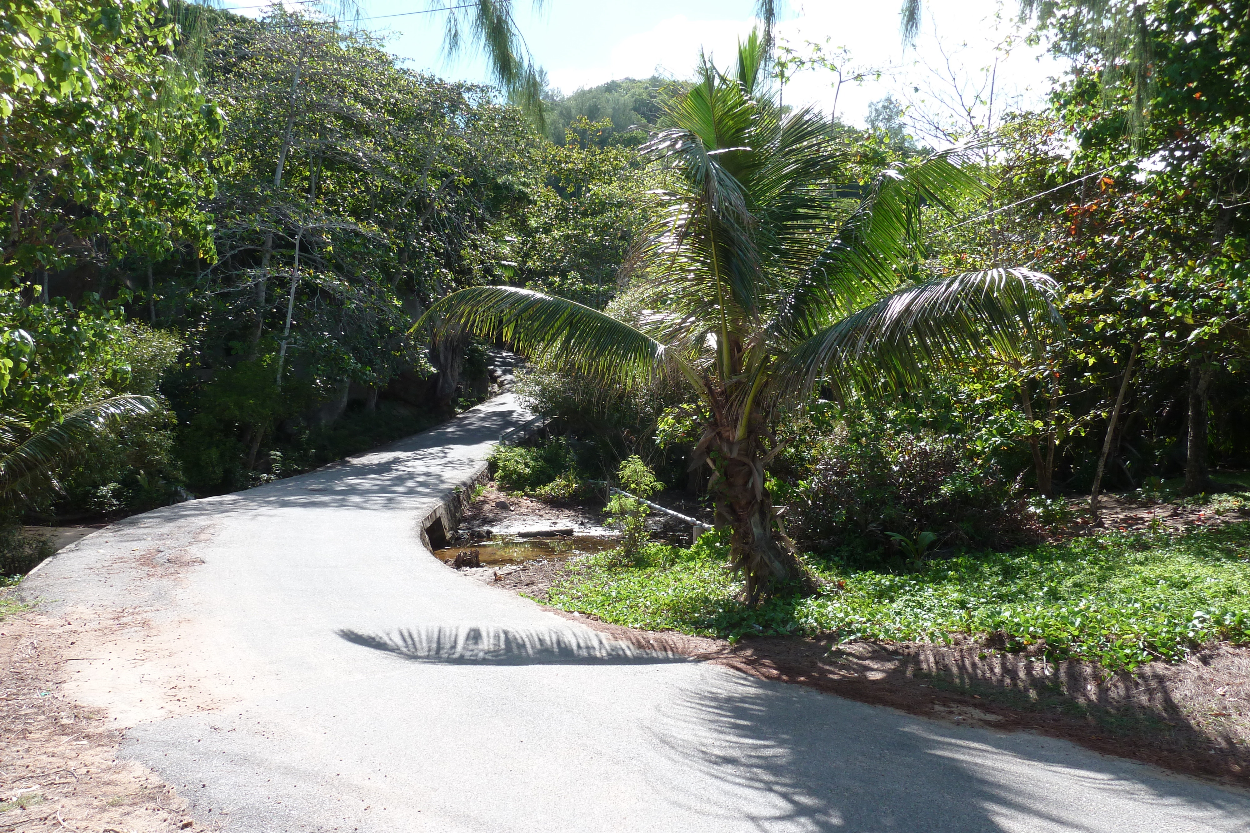 照片 塞舌尔(Seychelles) 普拉兰岛(Praslin) 2011-10 132