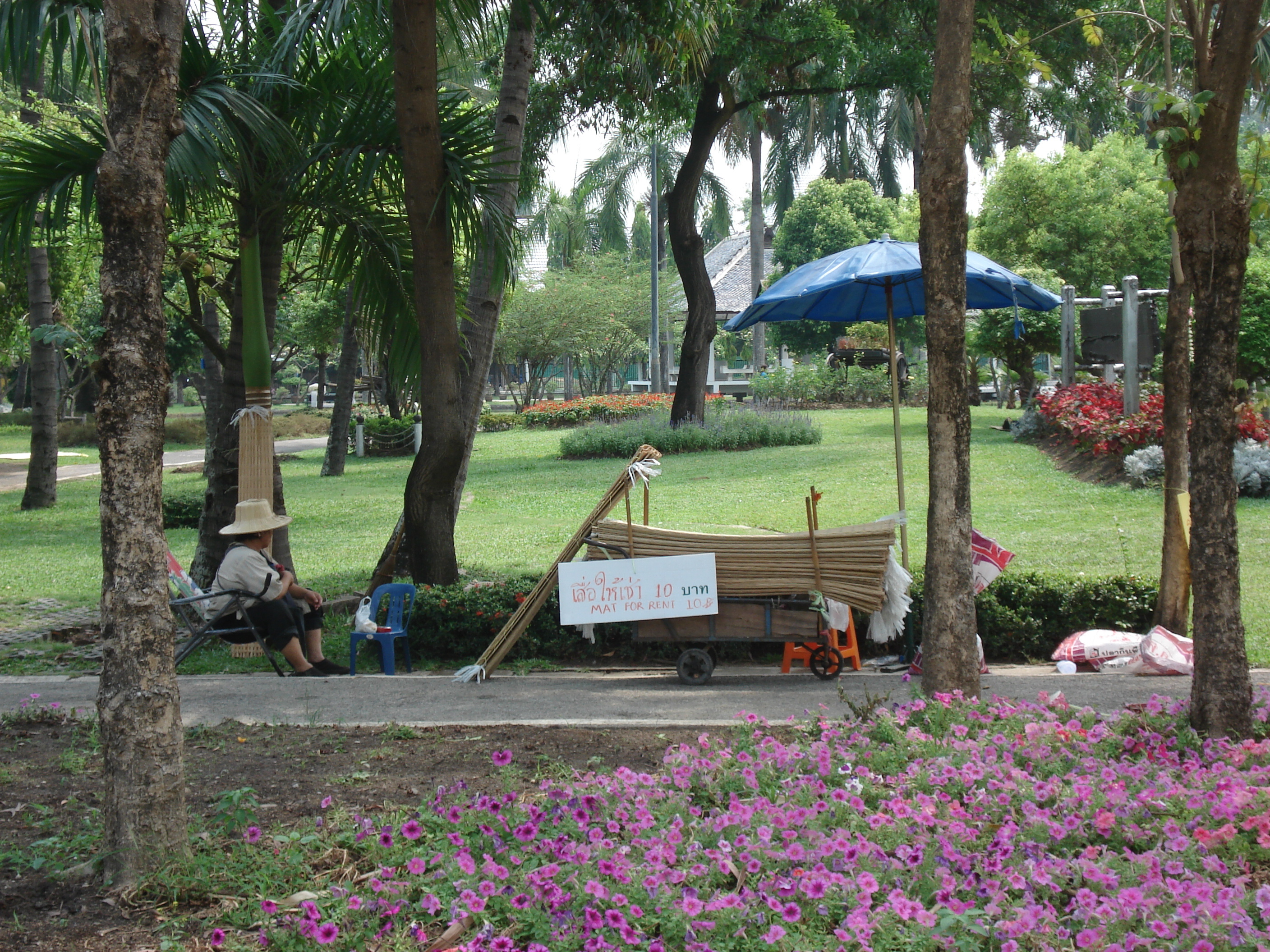 照片 泰国(Thailand) 清迈(Chiang Mai) 护城河内(Inside Canal) 布阿哈公园(Buak Had Park) 2006-04 27
