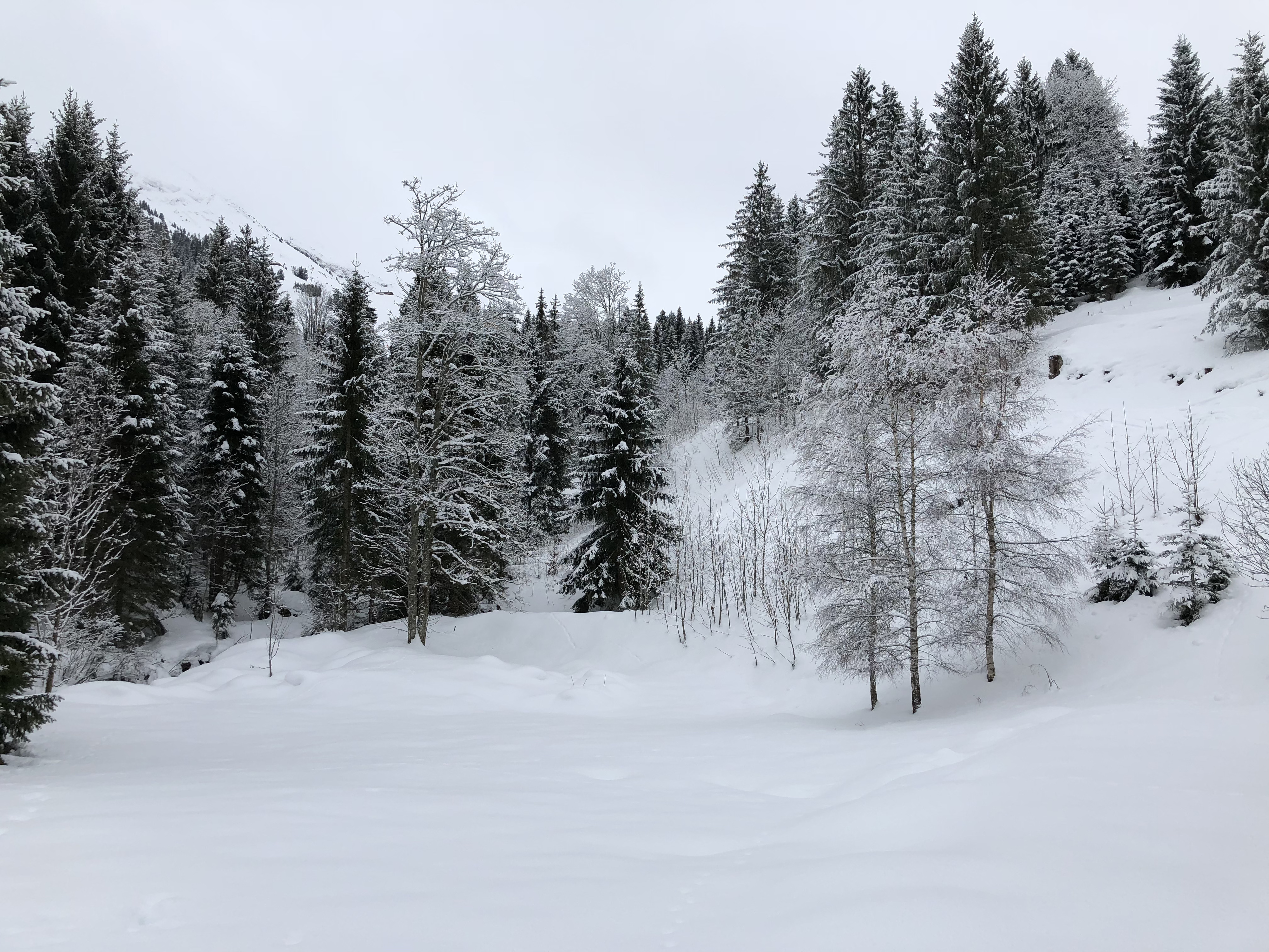 照片 法国(France) 拉克吕萨(La Clusaz) 2017-12 296