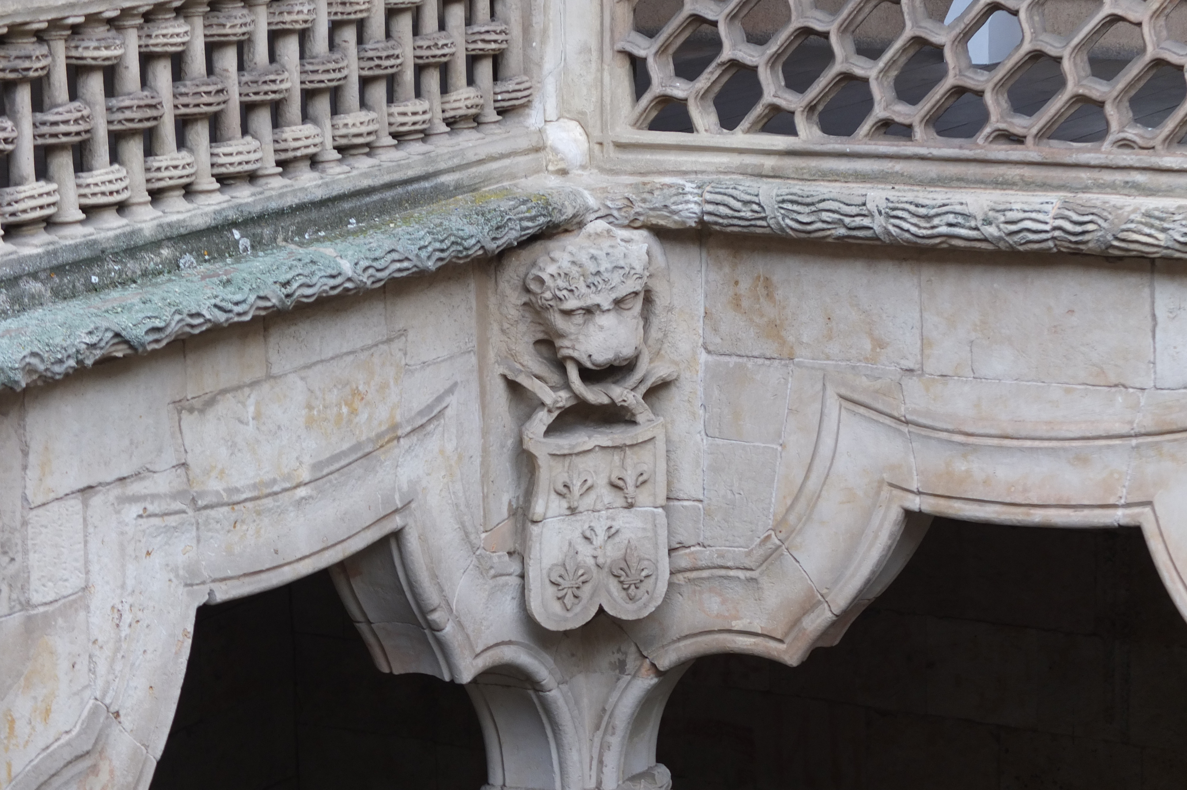 照片 西班牙(Spain) 萨拉曼卡(Salamanca) 2013-01 176