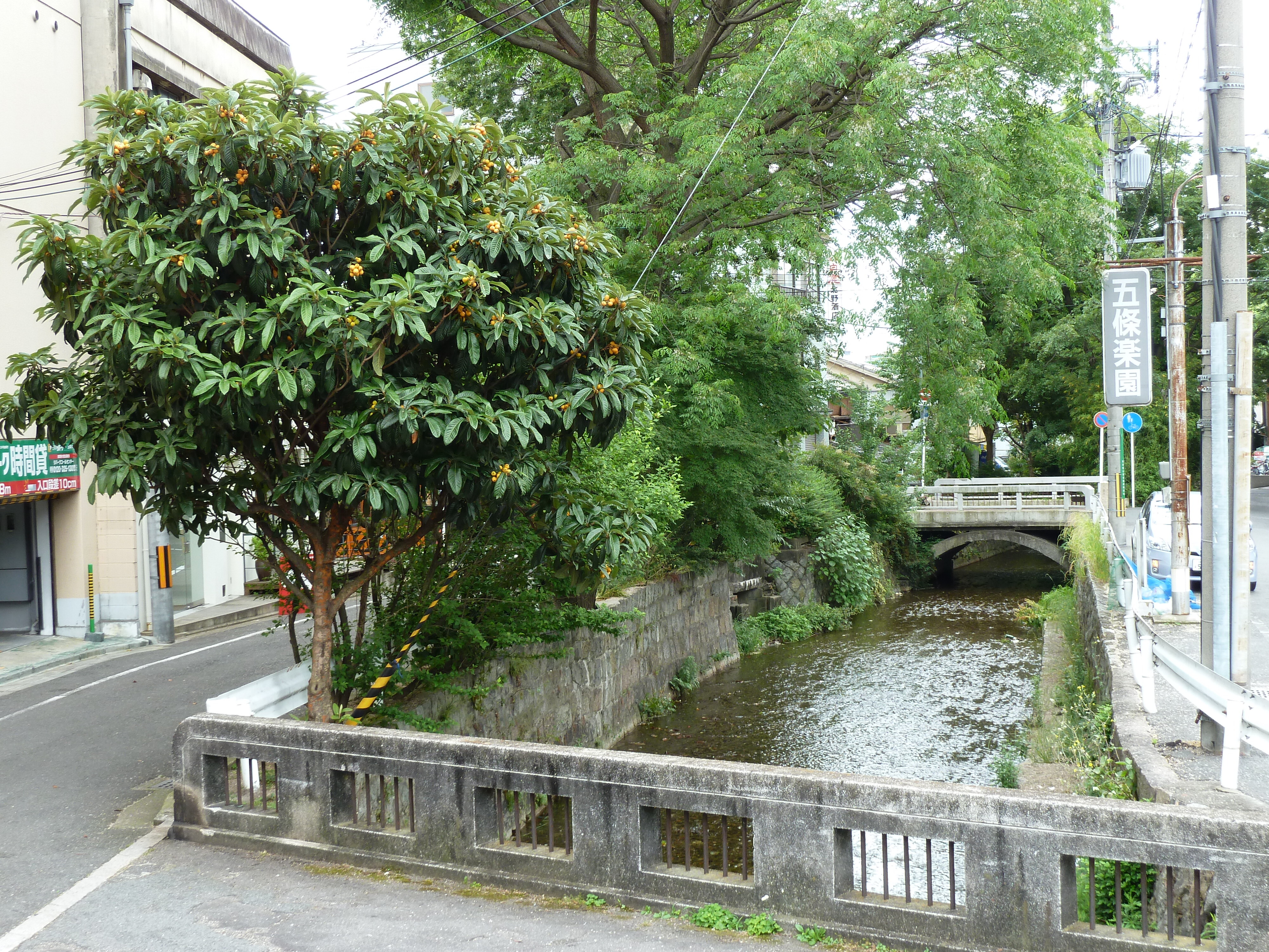 照片 日本(Japan) 京都(Kyoto) 2010-06 81