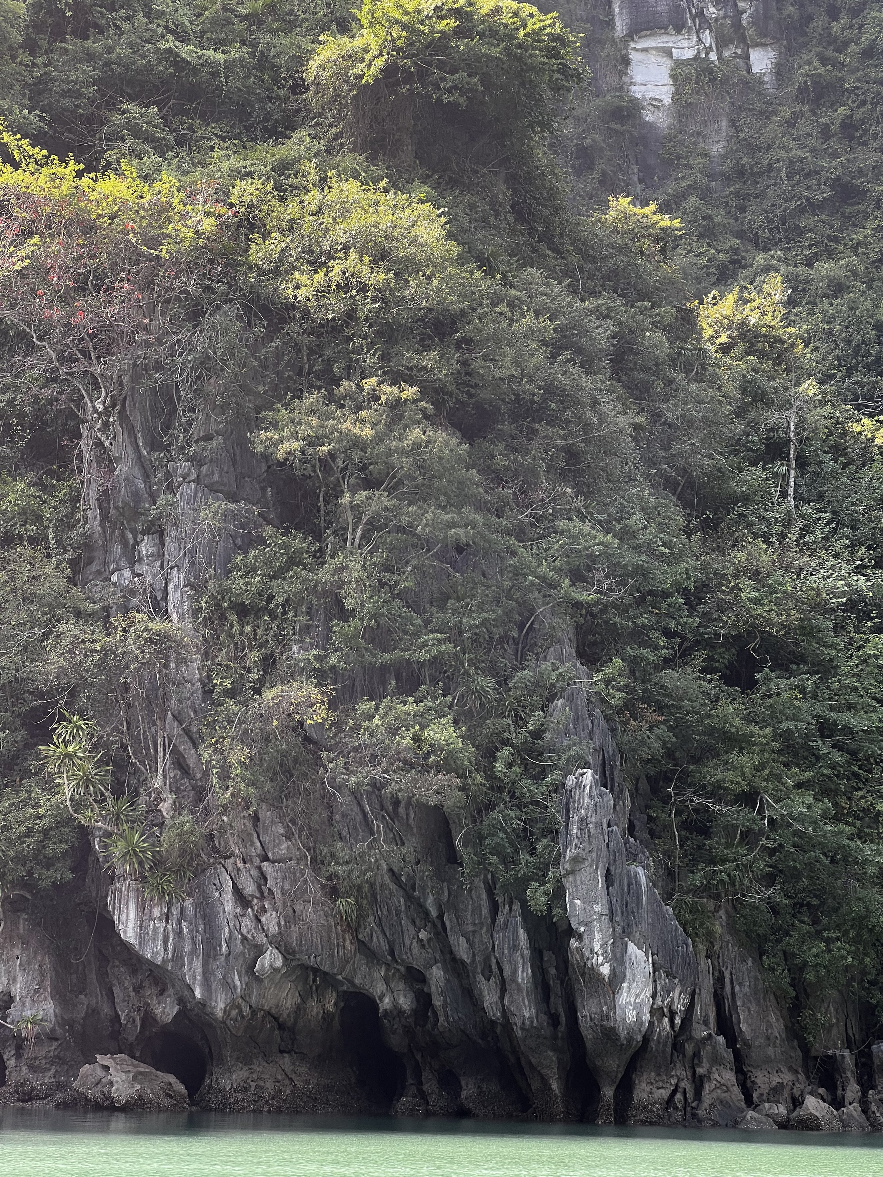 照片 越南(Vietnam) 下龙湾(Ha Long Bay) 2024-01 48