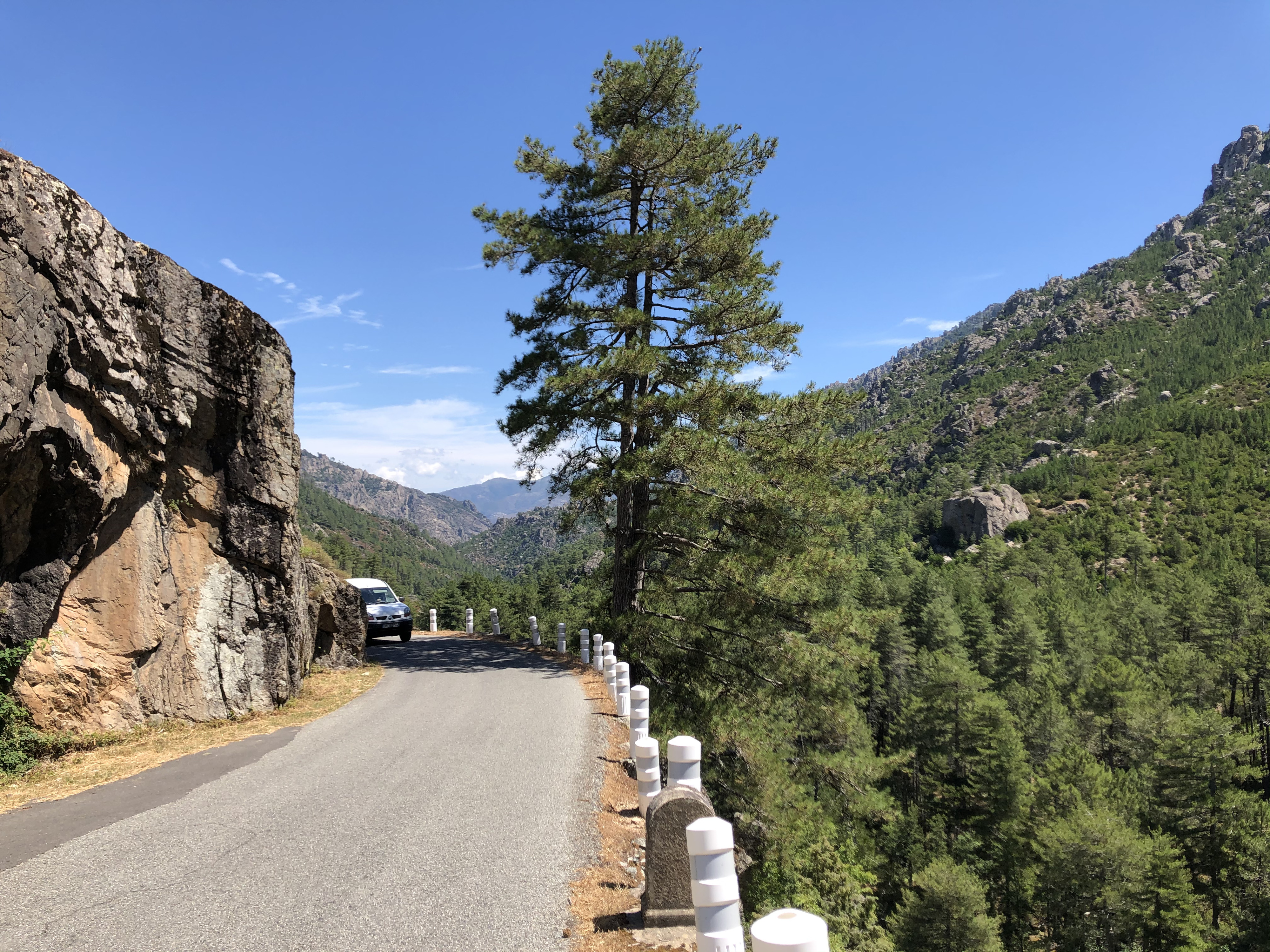 照片 法国(France) 科西嘉岛(Corsica) 雷斯托尼卡山谷(La Restonica) 2020-07 36