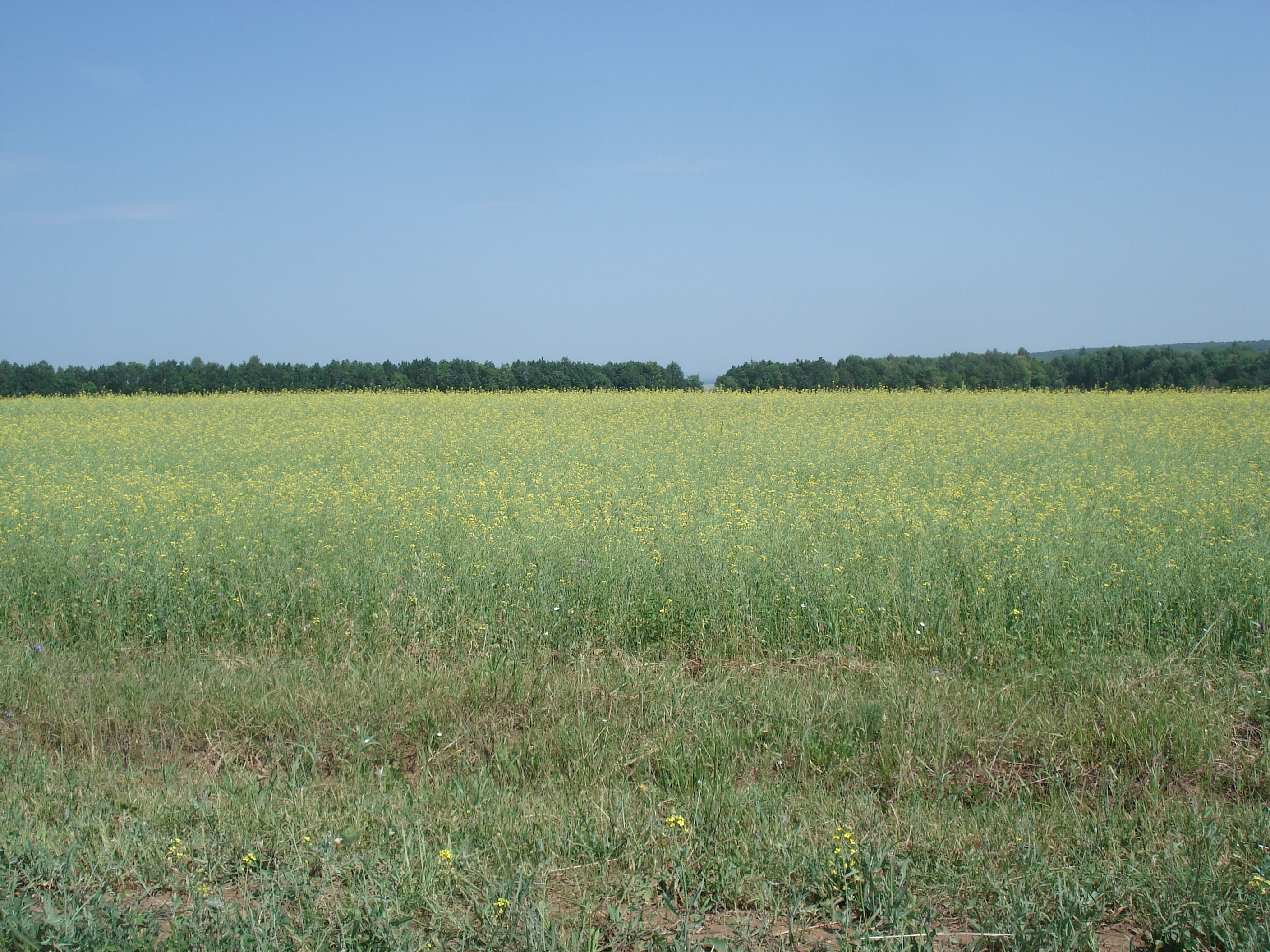 照片 俄罗斯(Russia) 乌法至喀山(From Ufa to Kazan) 2006-07 50
