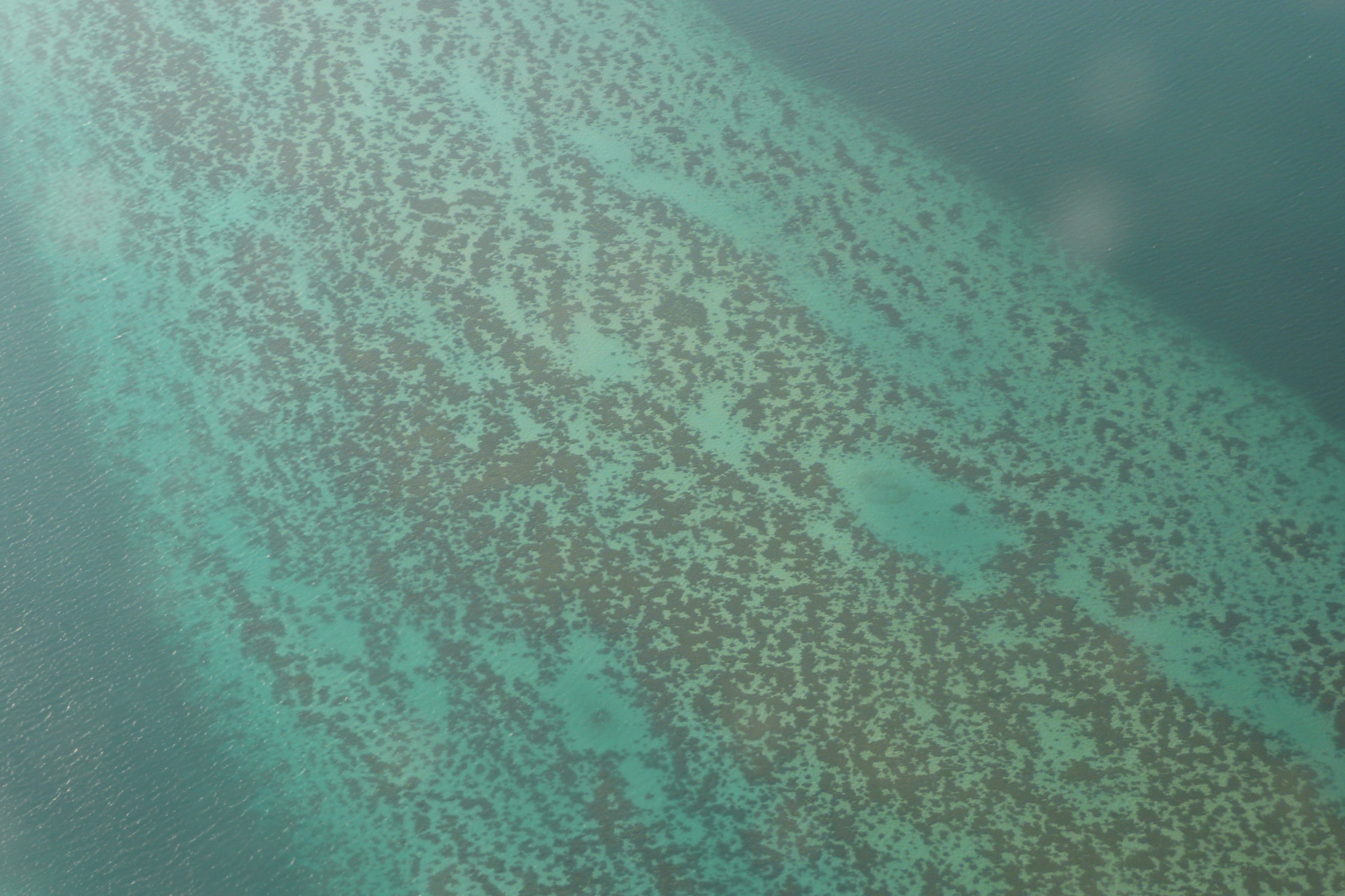 照片 埃及(Egypt) 航拍埃及(Egypt from the sky) 2008-06 119