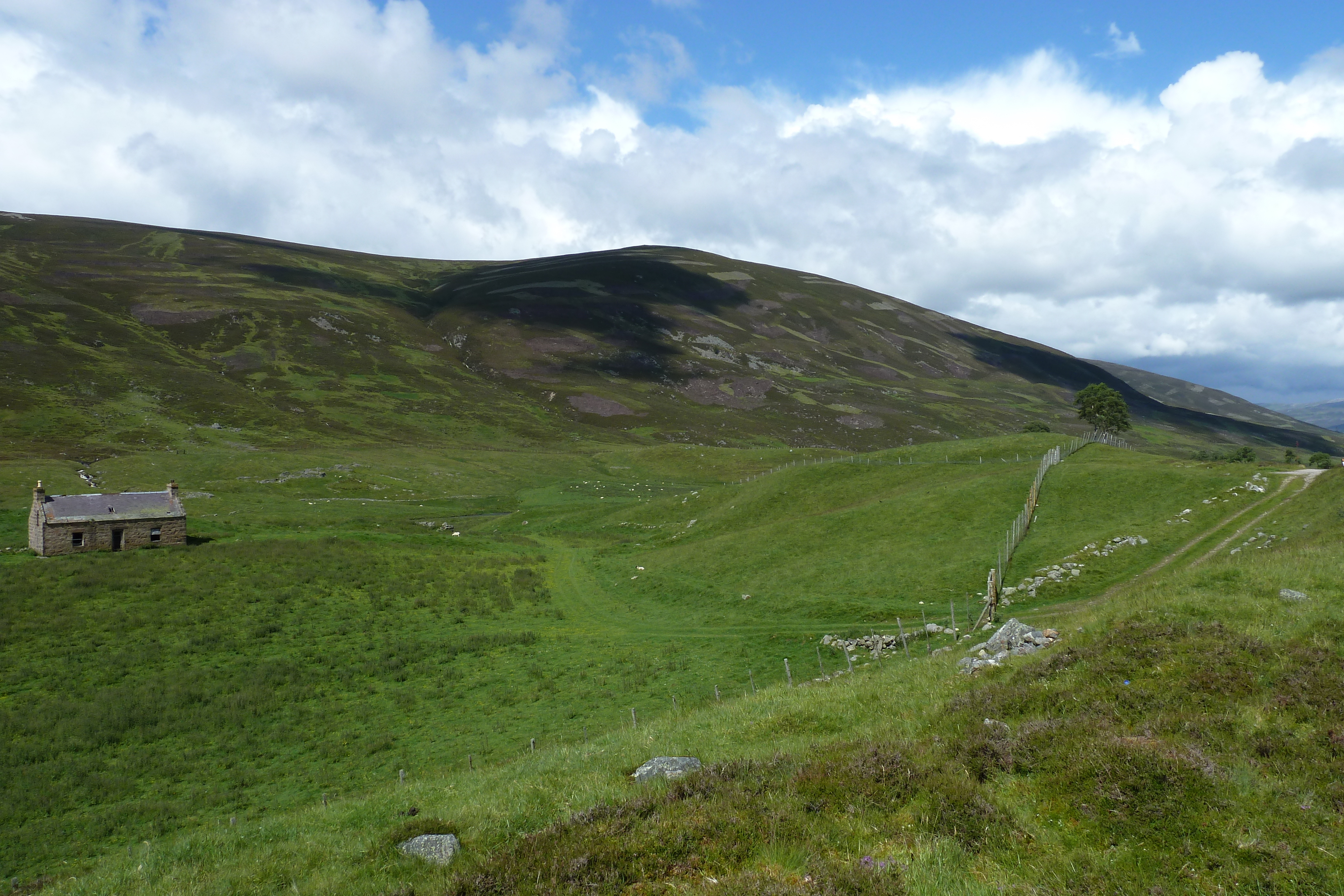 照片 英国(United Kingdom) 凯恩戈姆山国家公园(Cairngorms National Park) 2011-07 106