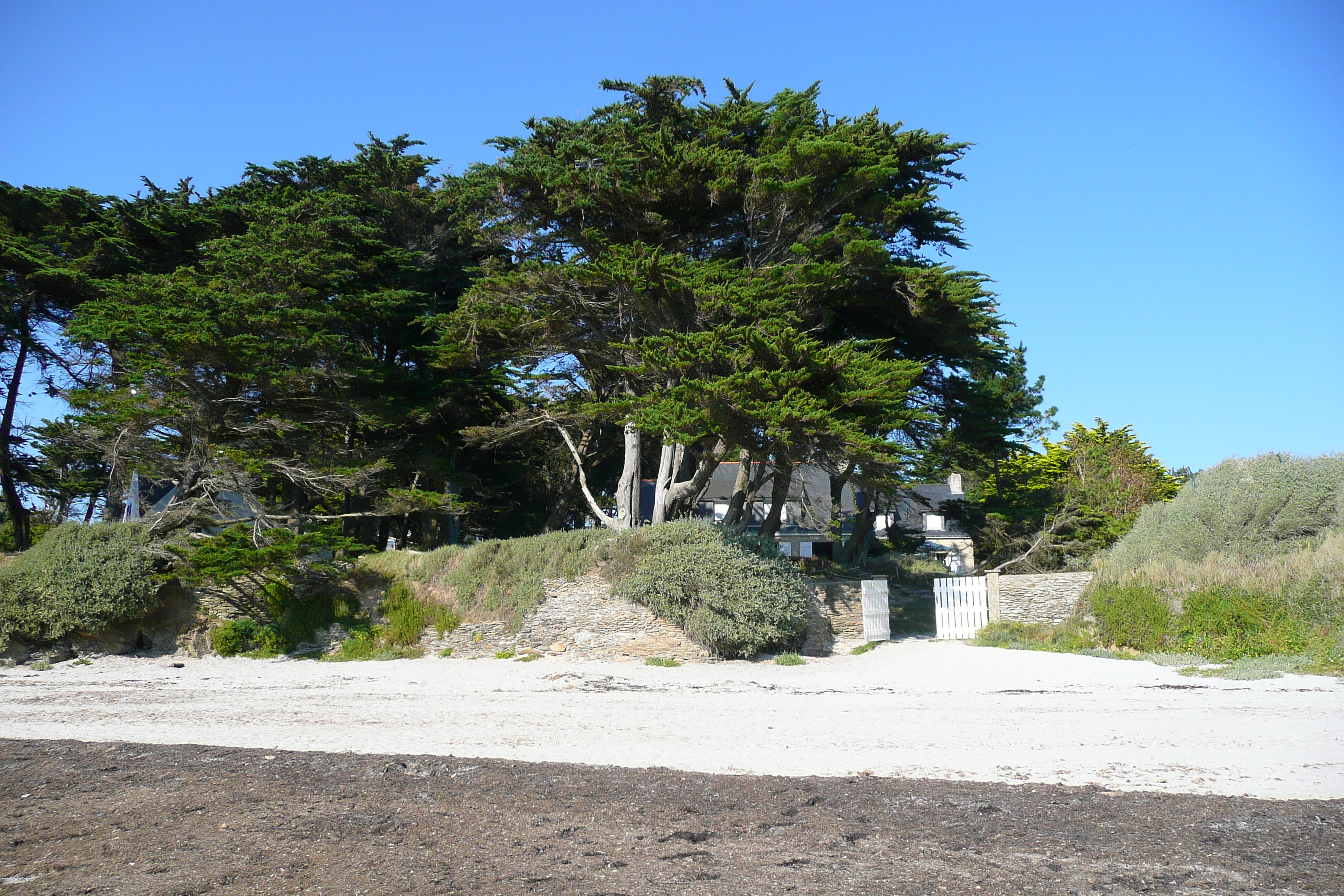 照片 法国(France) 吕伊圣吉尔达(St Gildas de Rhuys) 2007-09 18