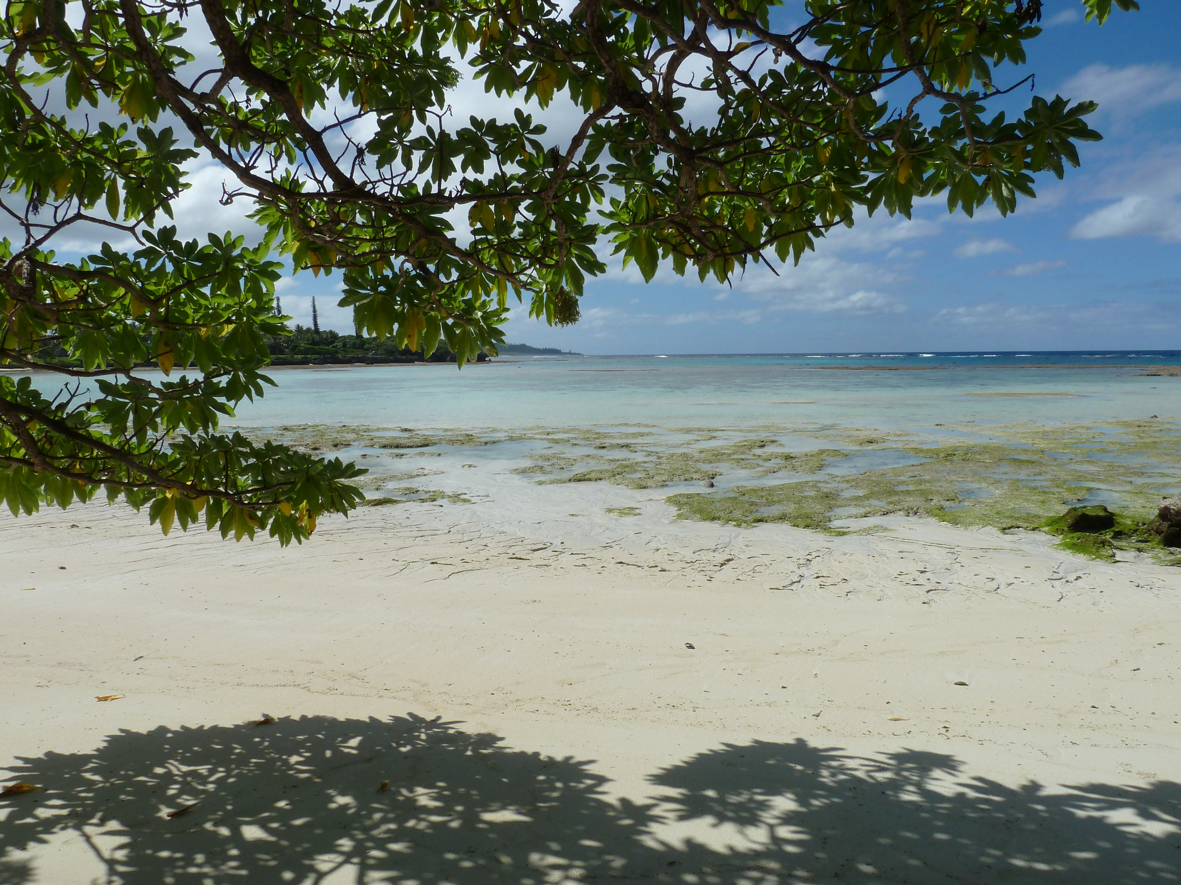 照片 新喀里多尼亚(New Caledonia) 2010-05 111