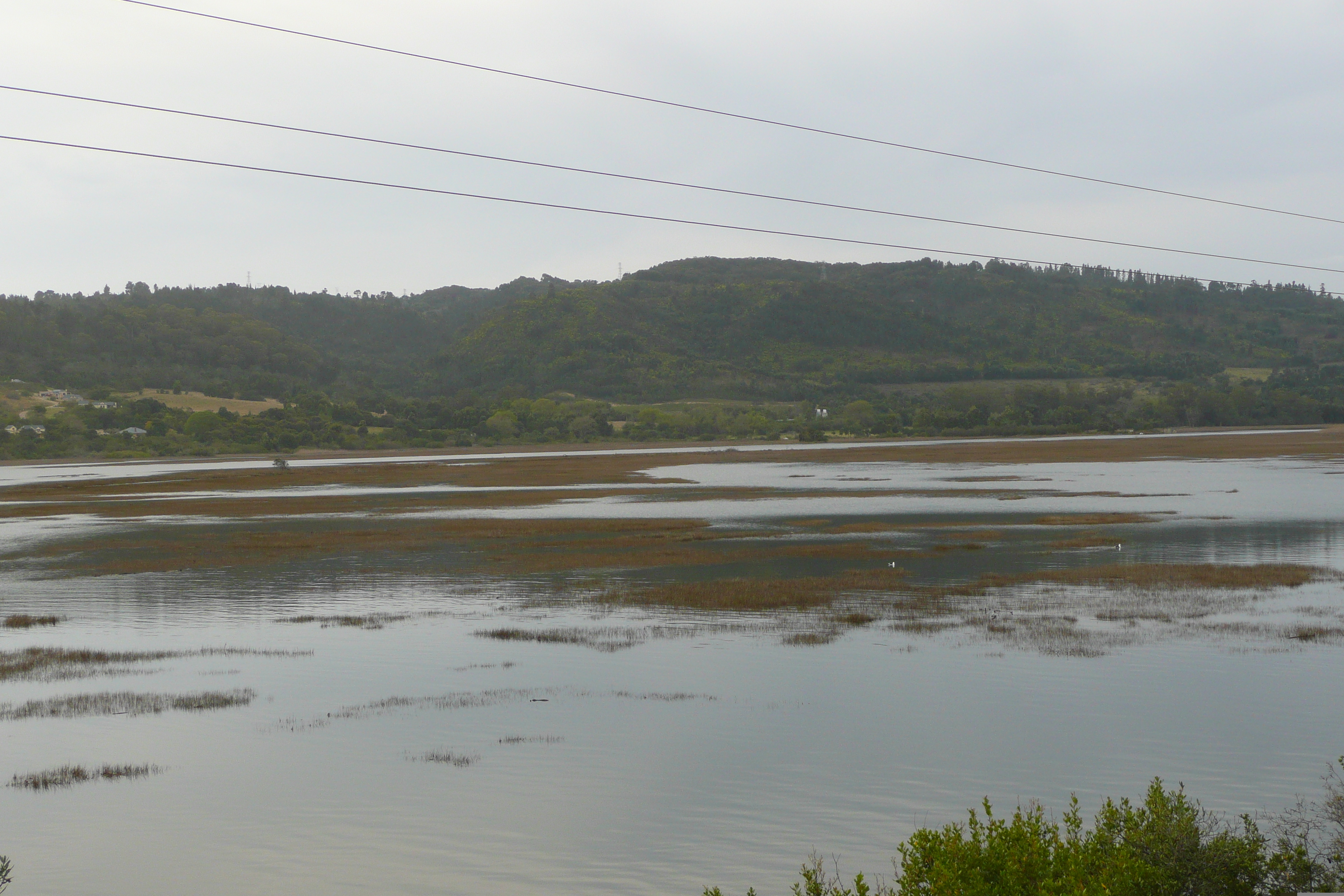 照片 南非(South Africa) 克尼斯纳(Knysna) 2008-09 110