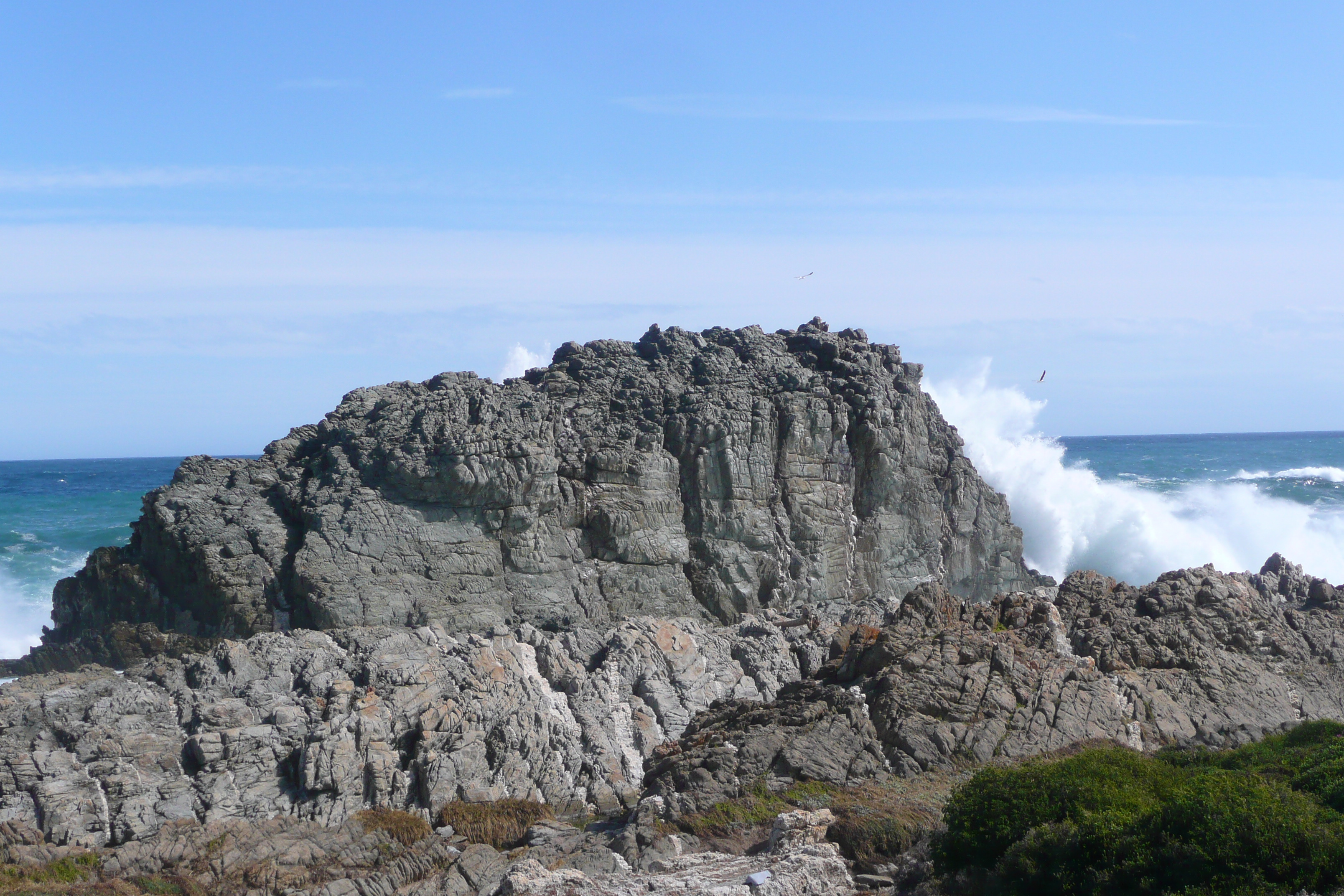 照片 南非(South Africa) 齐齐卡马国家公园(Tsitsikamma National Park) 2008-09 143