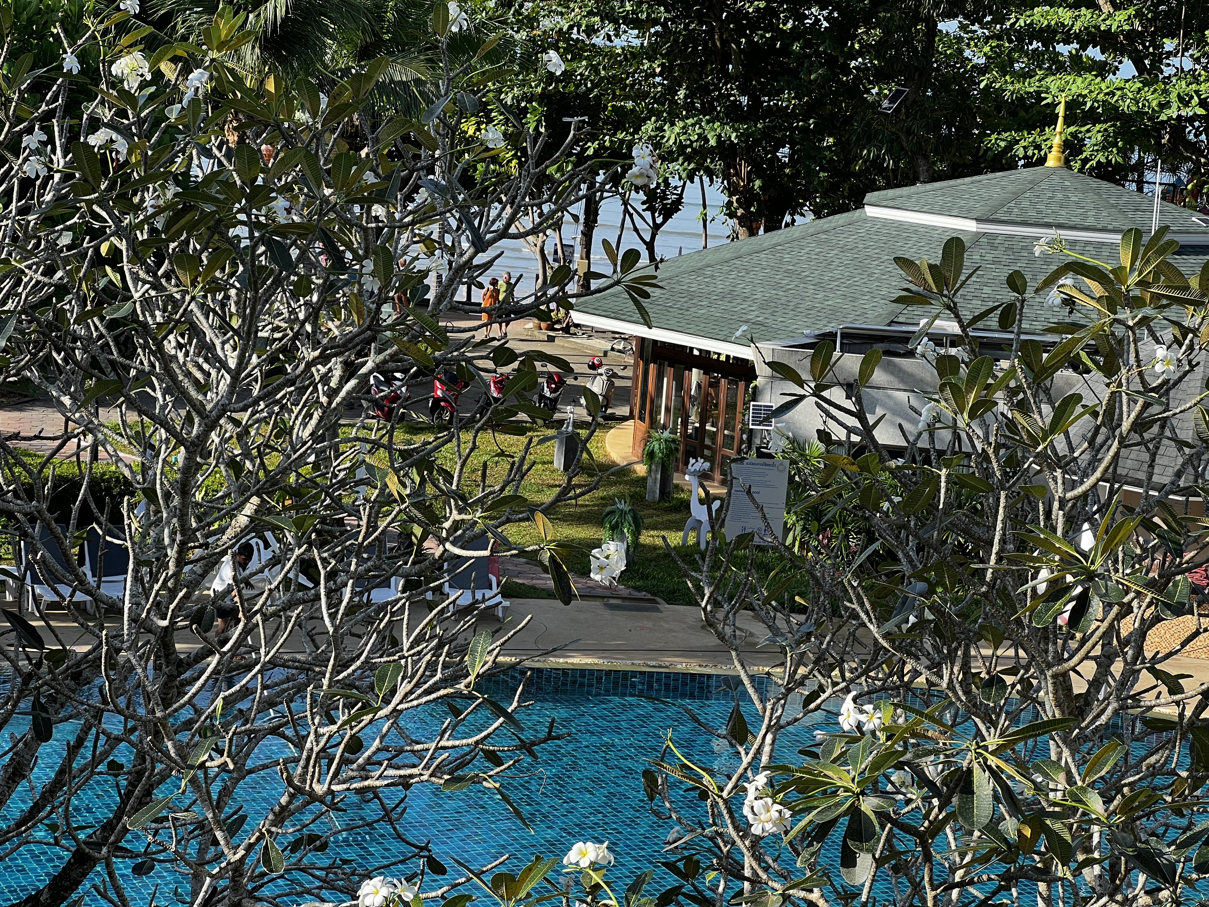 照片 泰国(Thailand) 甲米(Krabi) 奥南(Ao Nang) 2023-01 65