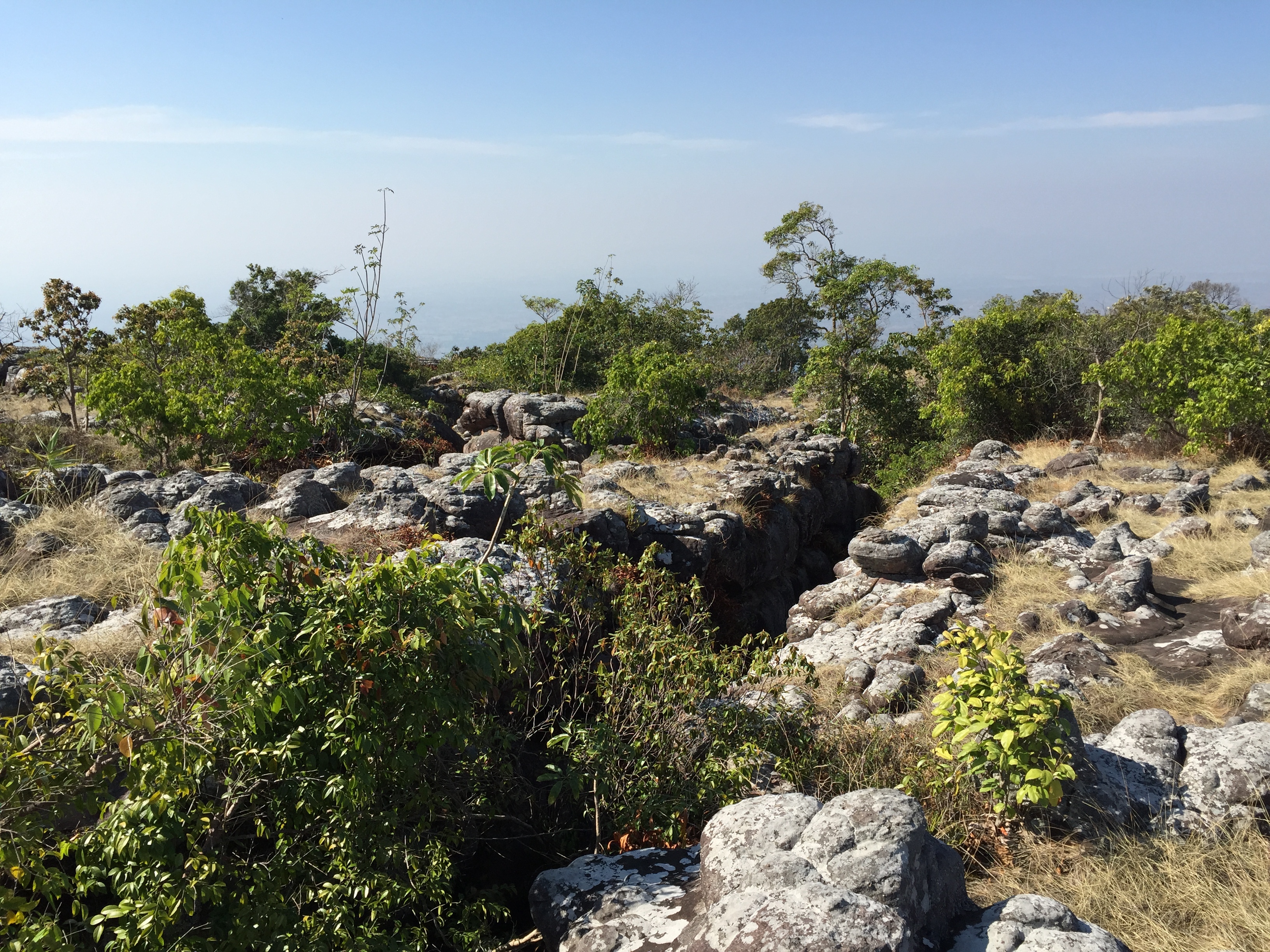照片 泰国(Thailand) 普欣隆卡国家公园(Phu Hin Rong Kla National Park) 2014-12 192