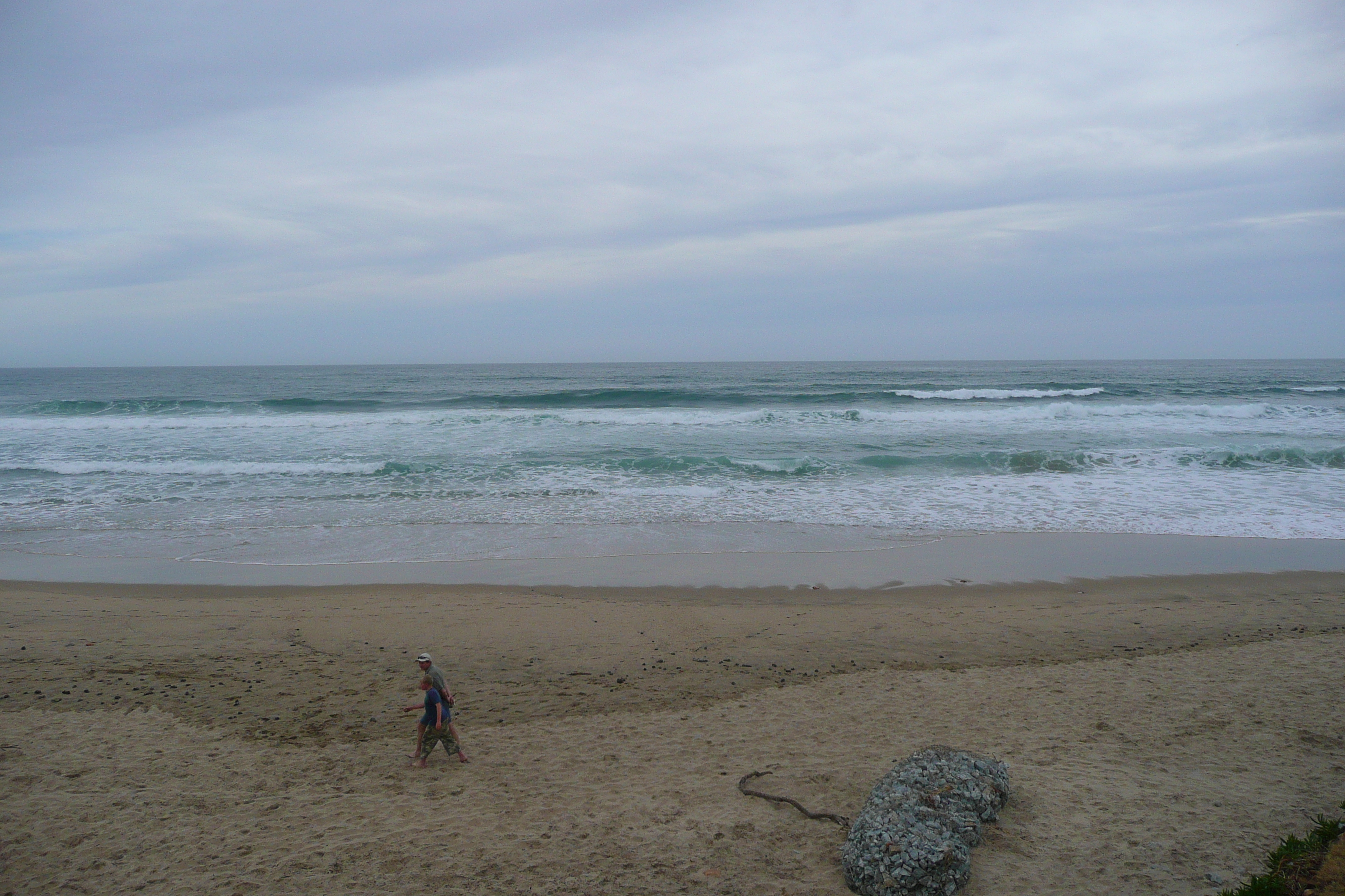 照片 南非(South Africa) 赫曼努斯至克尼斯纳公路(Harmanus to Knysna road) 2008-09 131