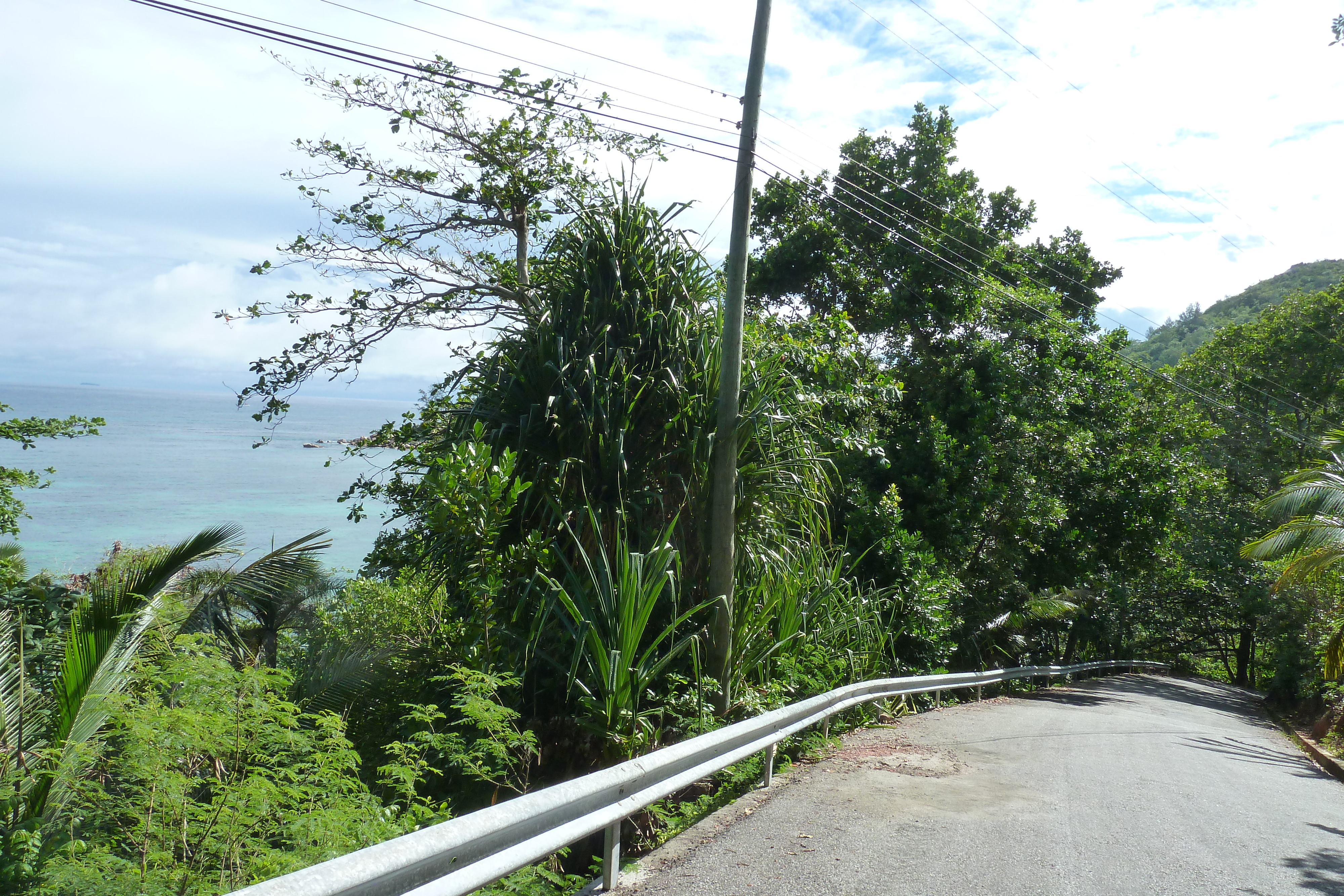 照片 塞舌尔(Seychelles) 普拉兰岛(Praslin) 2011-10 114