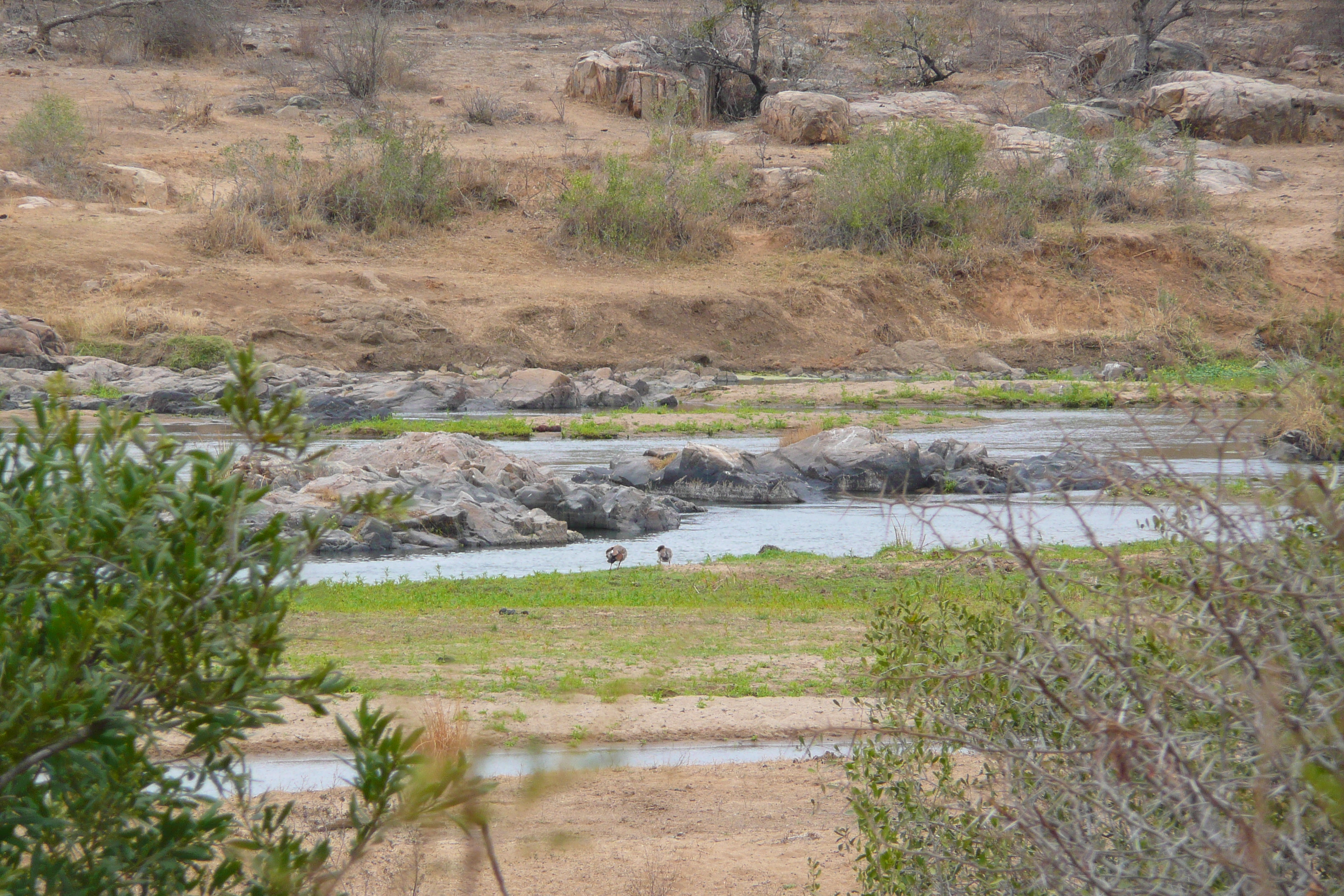 照片 南非(South Africa) 克鲁格国家公园(Kruger National Park) 鳄鱼河(Crocodile River) 2008-09 21