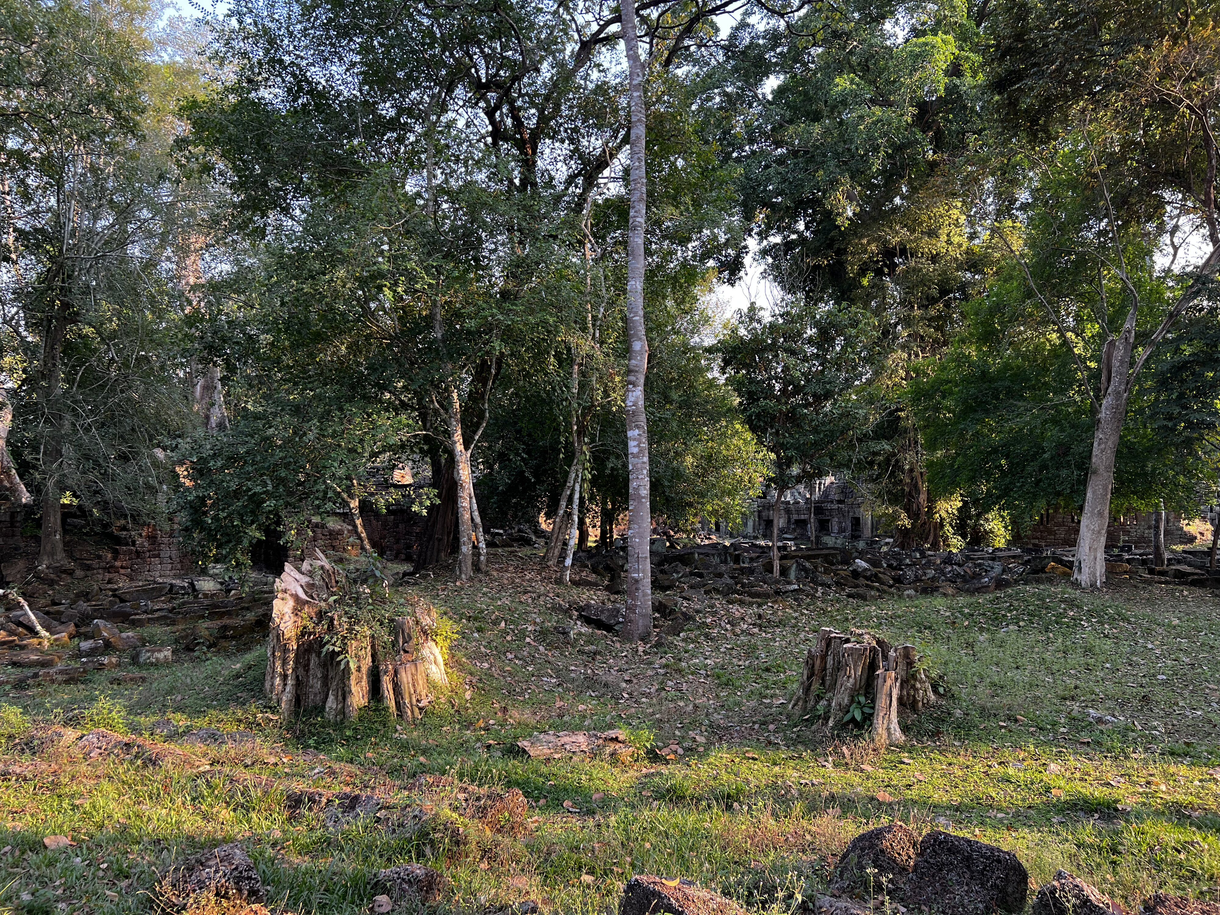 照片 柬埔寨(Cambodia) 暹粒(Siem Reap) 圣剑寺(Preah Khan) 2023-01 64