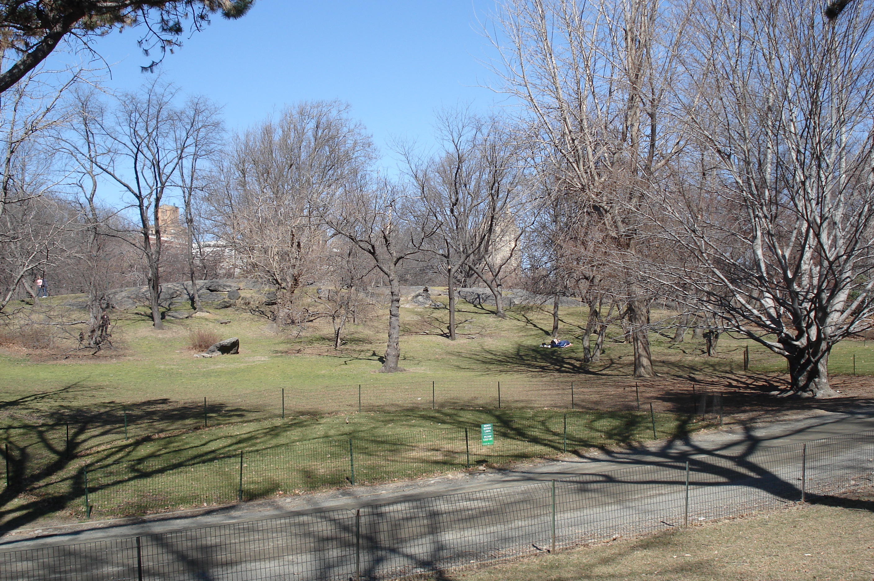 照片 美国(United States) 纽约(New York) 中央公园(Central Park) 2006-03 13