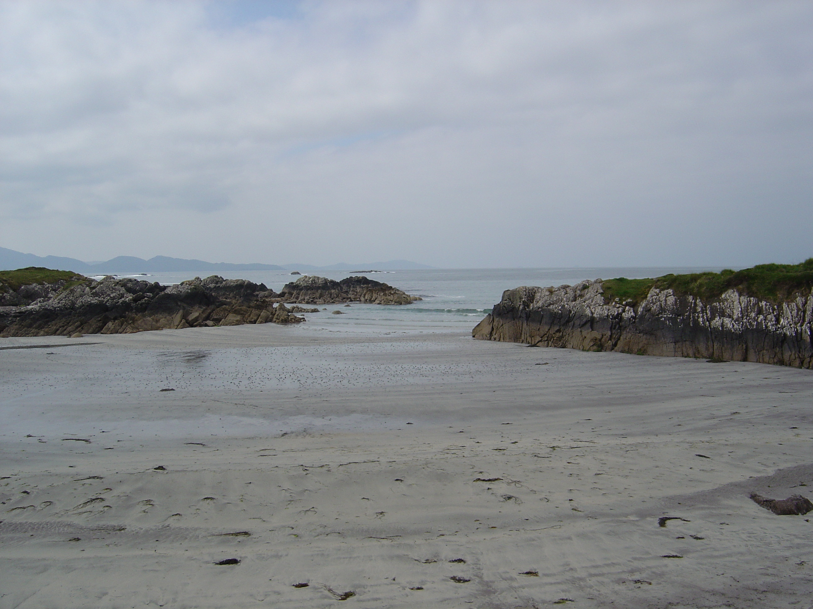 照片 爱尔兰(Ireland) 凯里郡(Kerry) 帕克纳西拉(Parknasilla) 2004-05 3