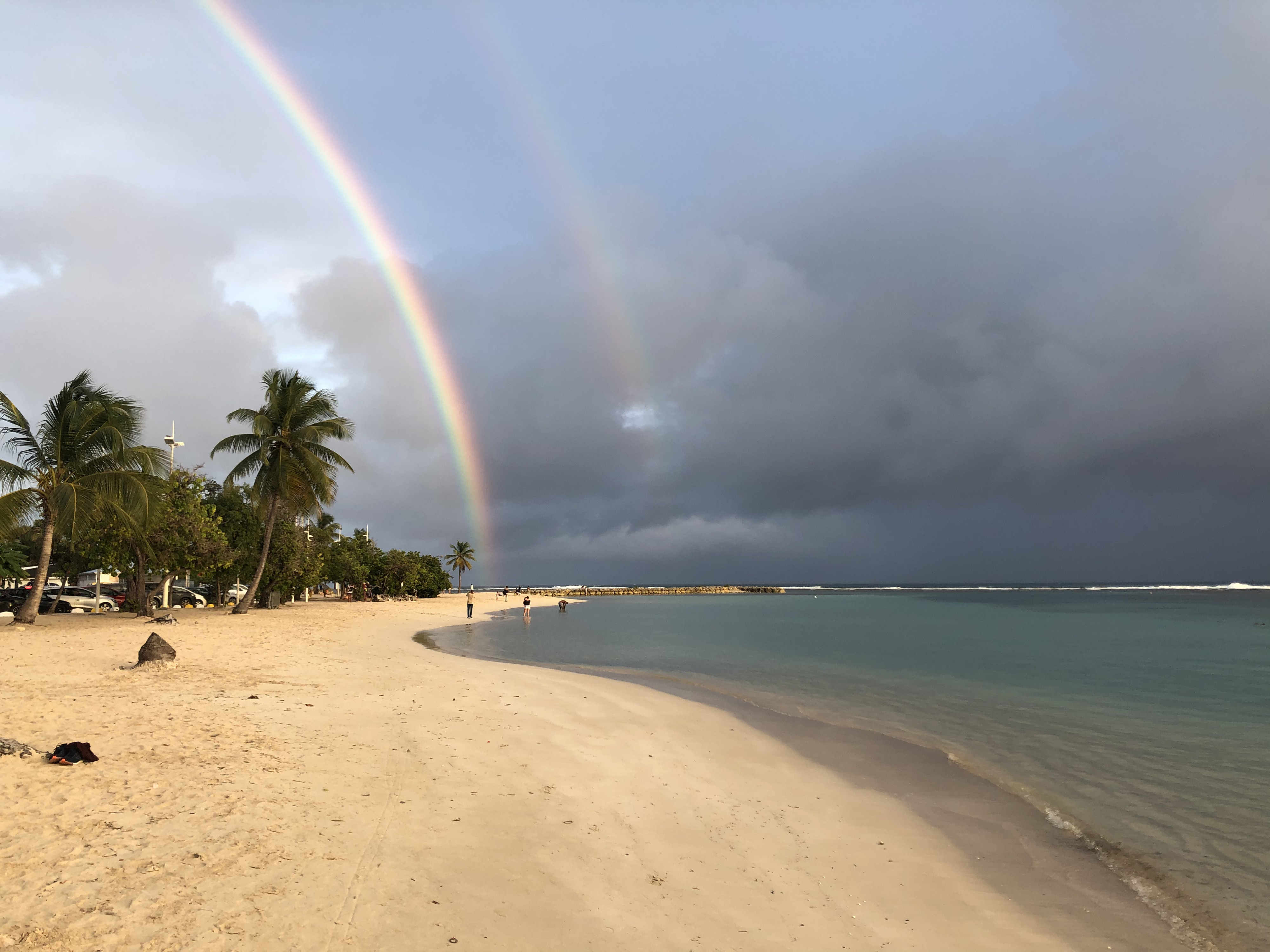 照片 瓜德罗普(Guadeloupe) 圣安妮(Sainte Anne) 2021-02 66