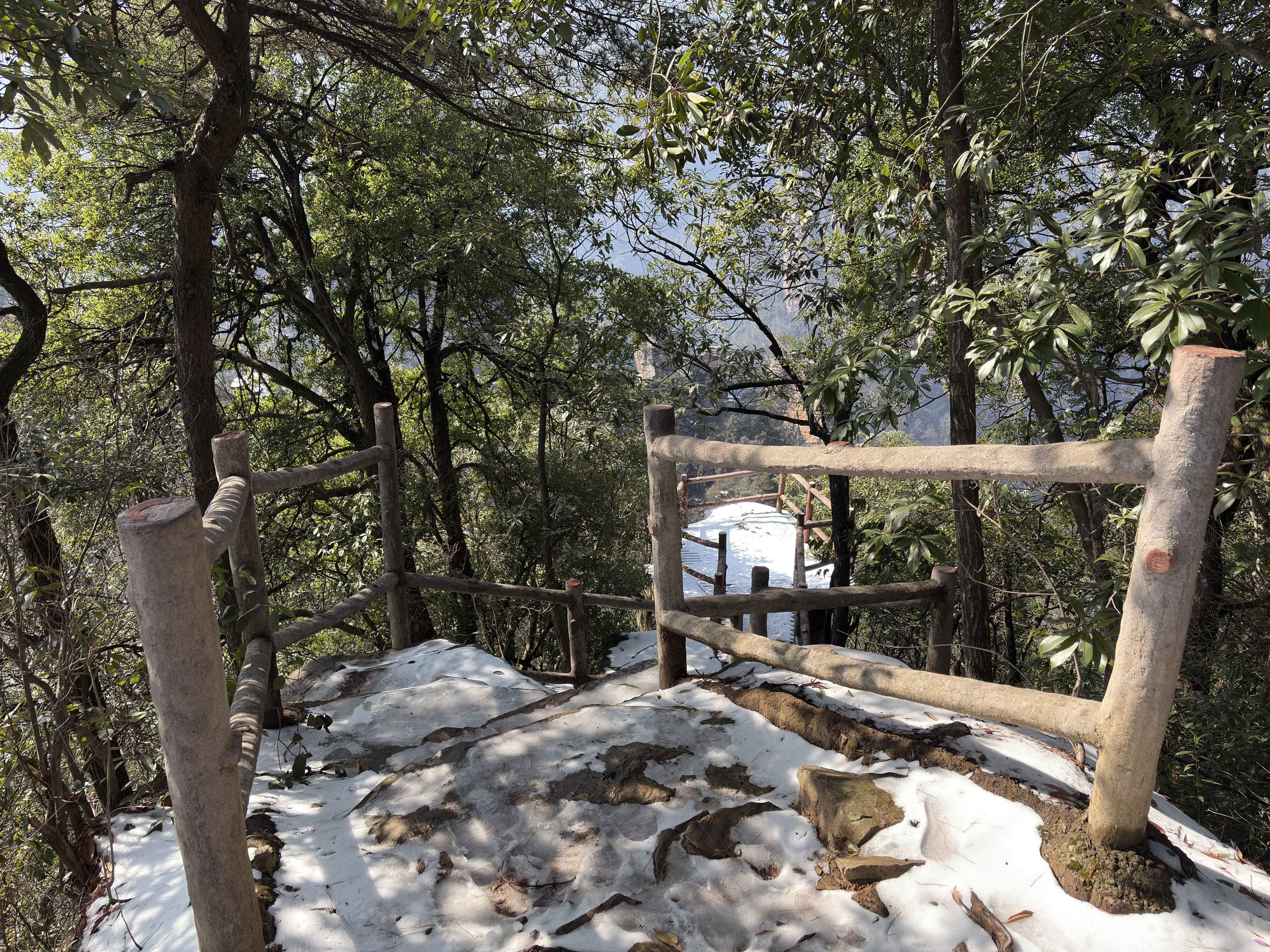 照片 中国(China) 张家界(Zhangjiajie) 天子山(Tianzi Mountain) 2026-01 224