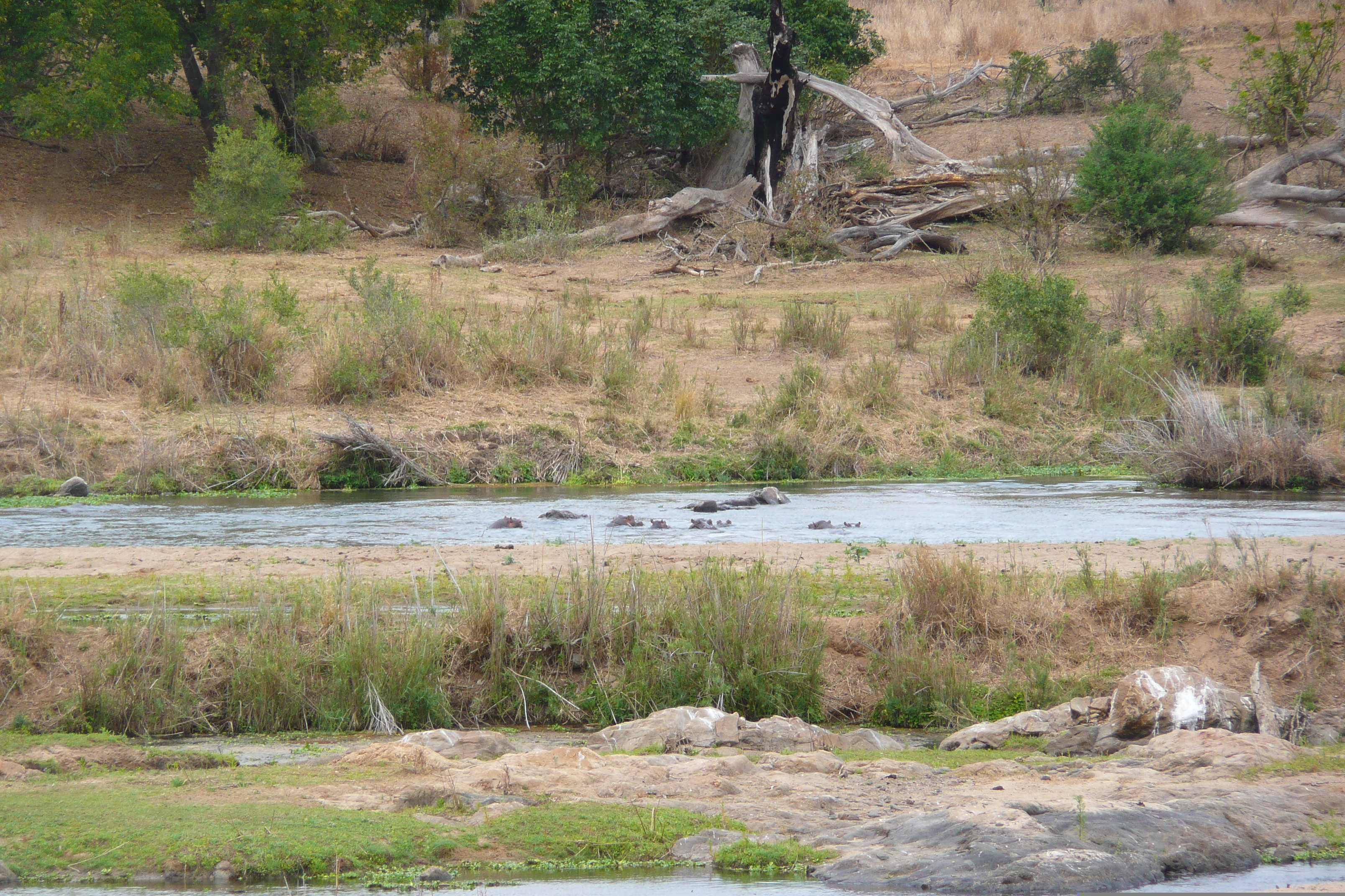 照片 南非(South Africa) 克鲁格国家公园(Kruger National Park) 鳄鱼河(Crocodile River) 2008-09 74