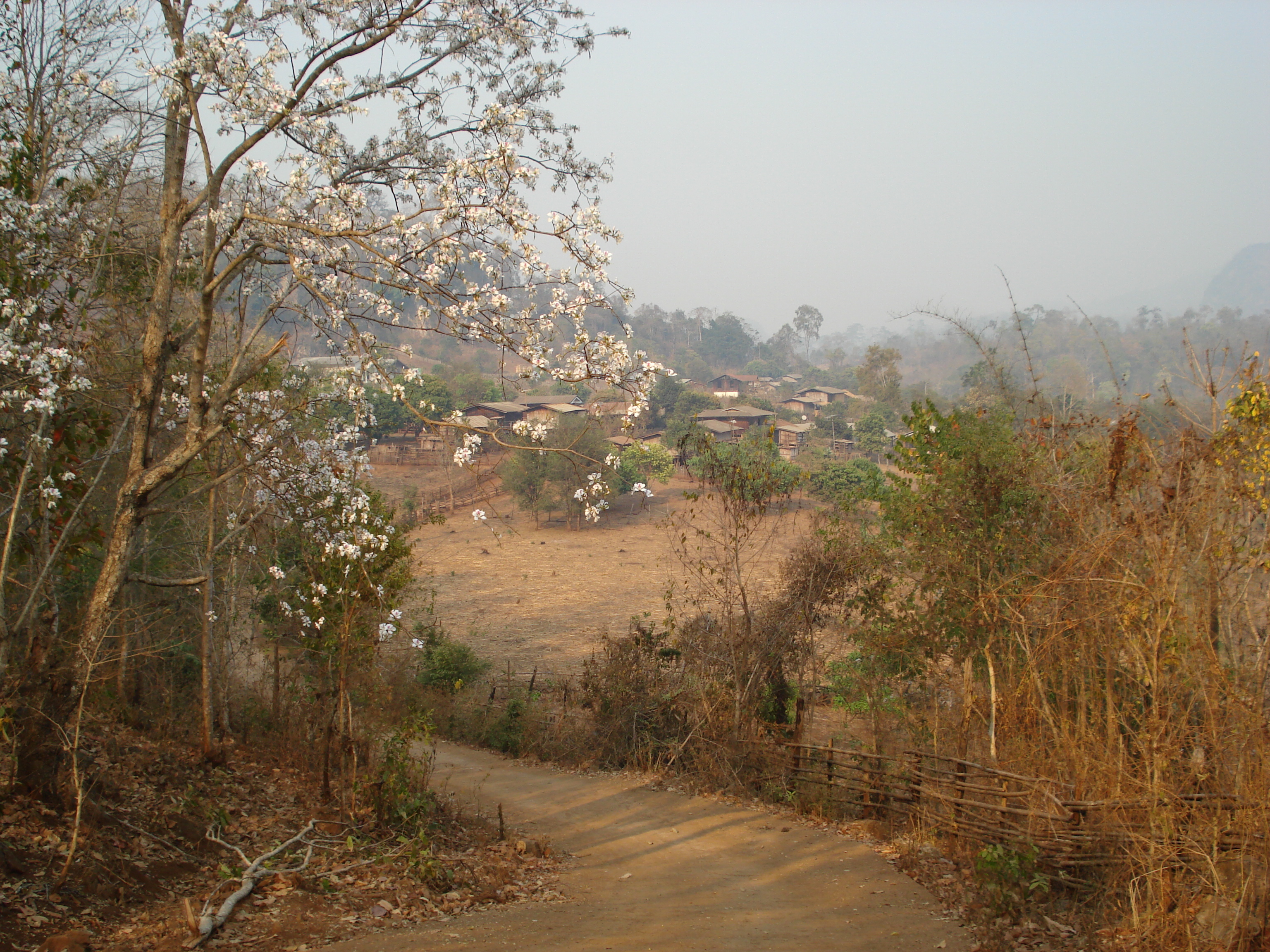 照片 泰国(Thailand) 邦玛帕(Pang Mapha) 2007-02 40