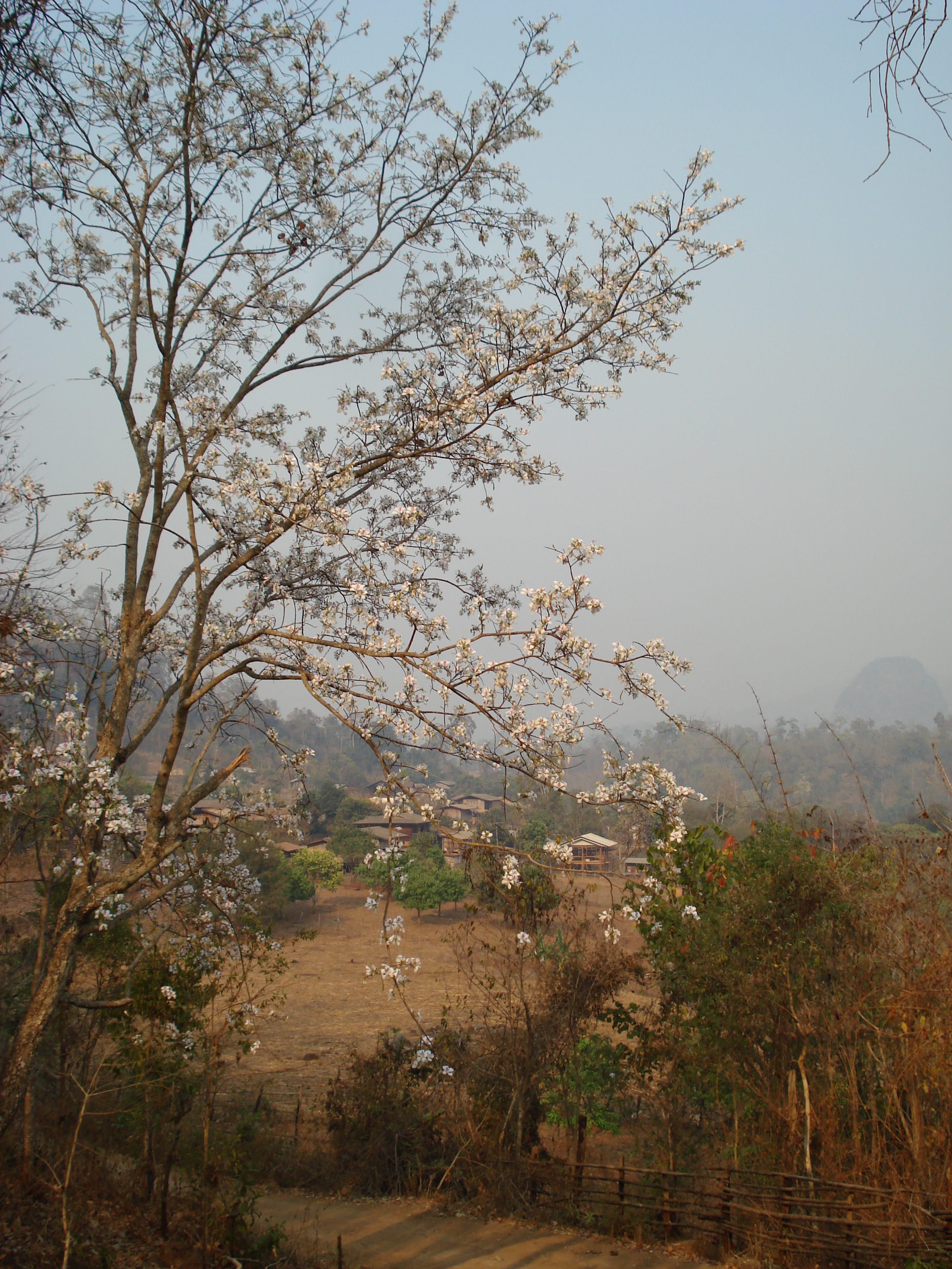 照片 泰国(Thailand) 邦玛帕(Pang Mapha) 2007-02 43