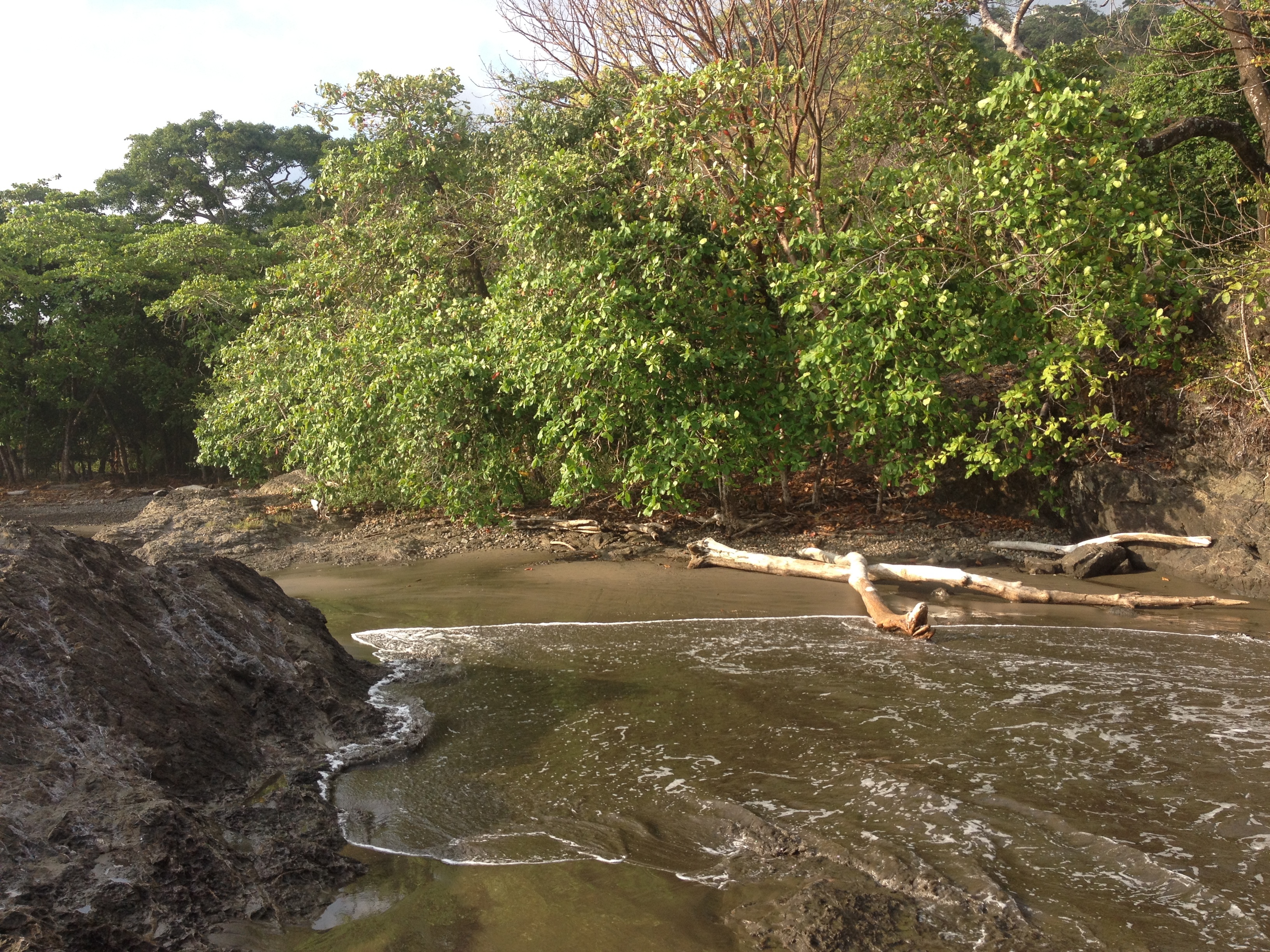 照片 哥斯达黎加(Costa Rica) 多米尼卡尔(Dominical) 2015-03 72