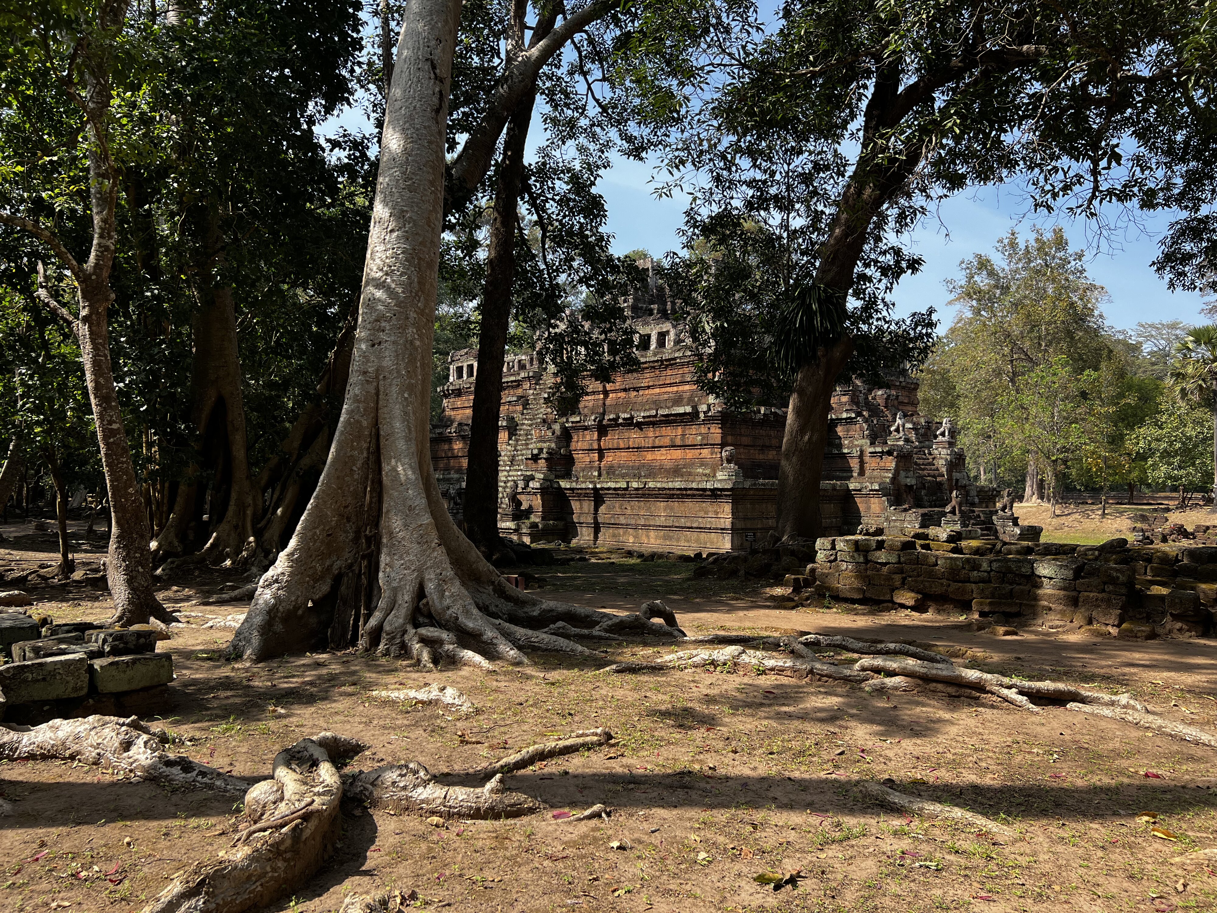 照片 柬埔寨(Cambodia) 暹粒(Siem Reap) 吴哥通王城(Angkor Thom) 2023-01 54