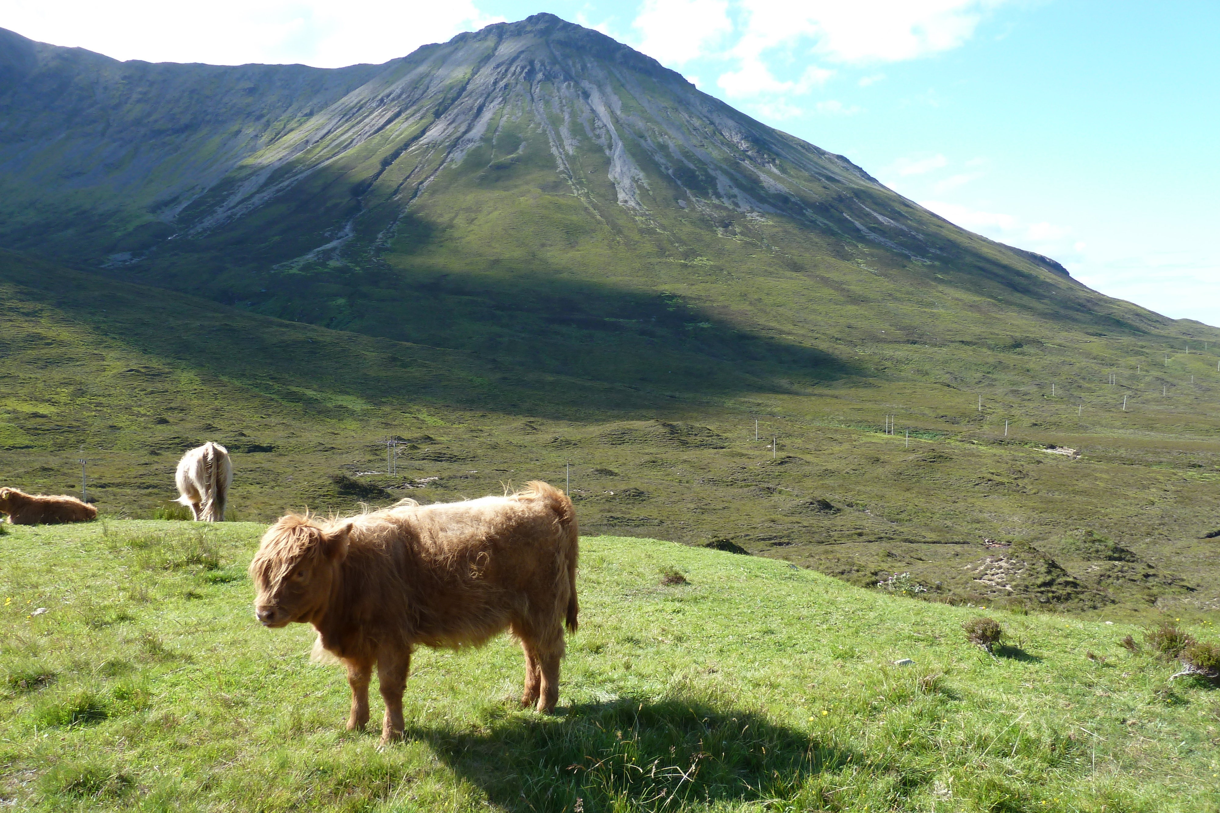 照片 英国(United Kingdom) 斯凯岛(Skye) 库林山脉(The Cuillin) 2011-07 77