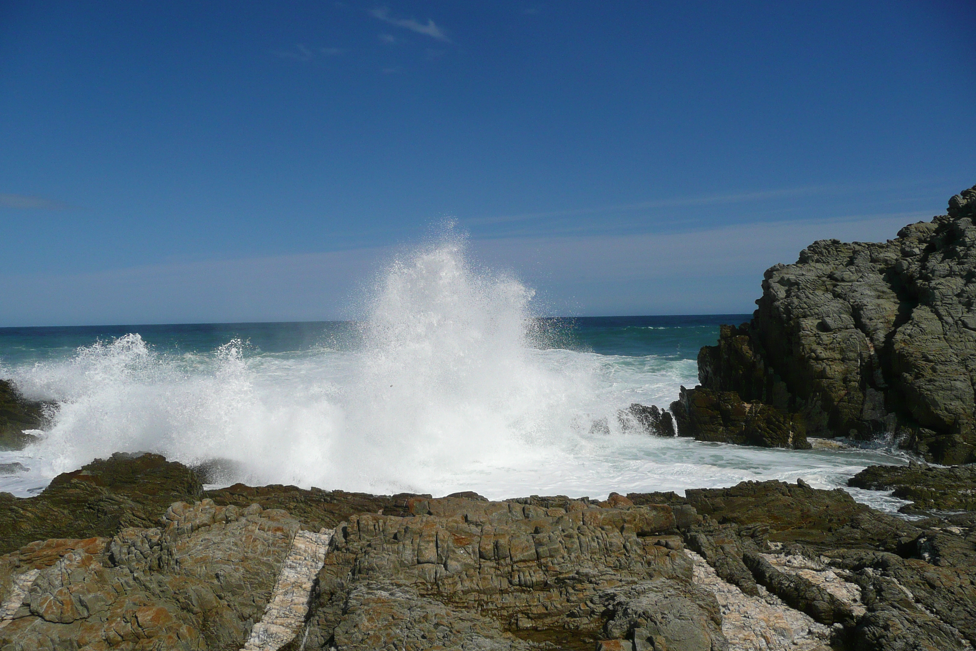 照片 南非(South Africa) 齐齐卡马国家公园(Tsitsikamma National Park) 2008-09 103