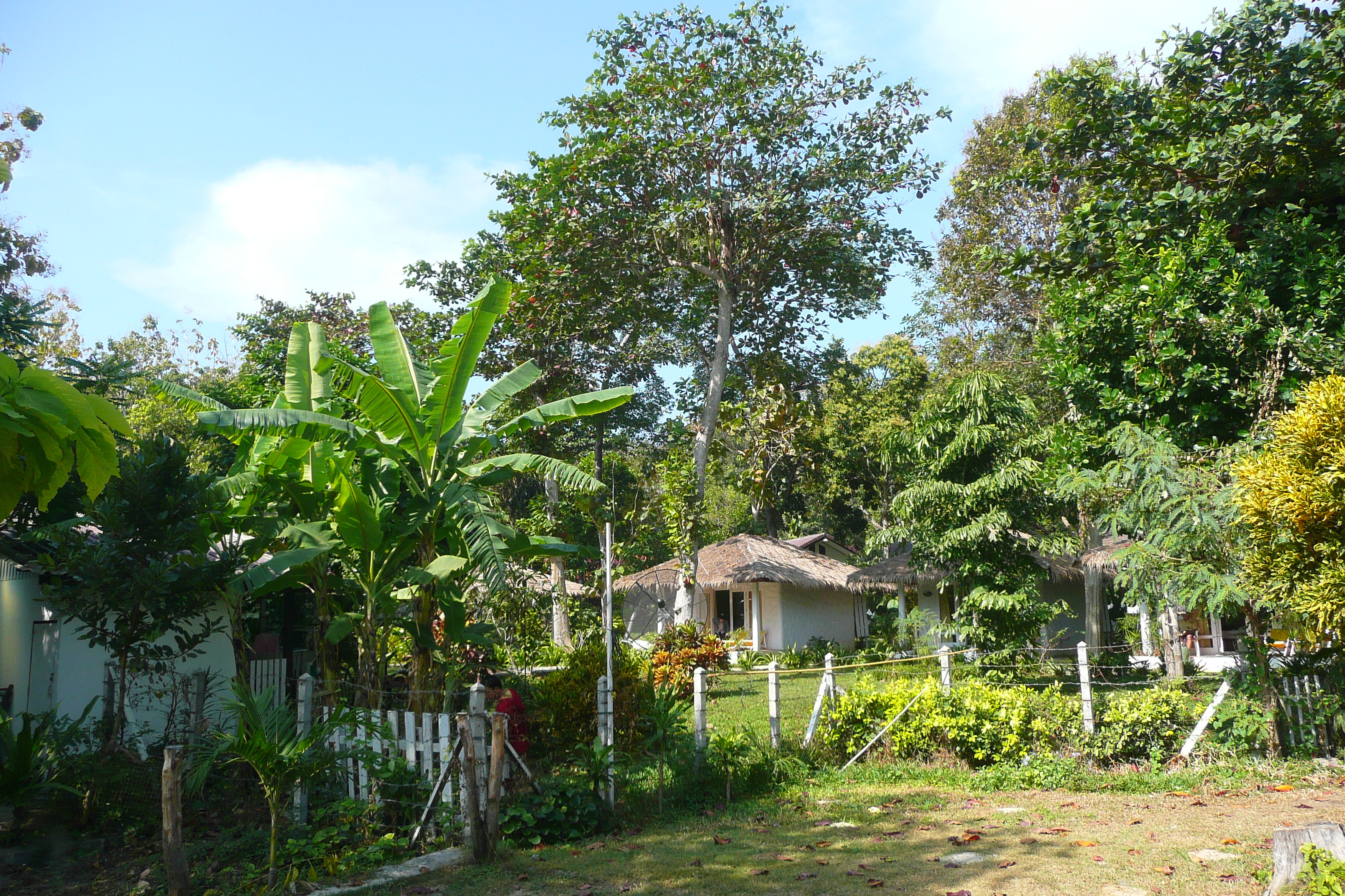 照片 泰国(Thailand) 沙美岛(Ko Samet) 旺端湾(Ao Wong Duan) 2009-01 26