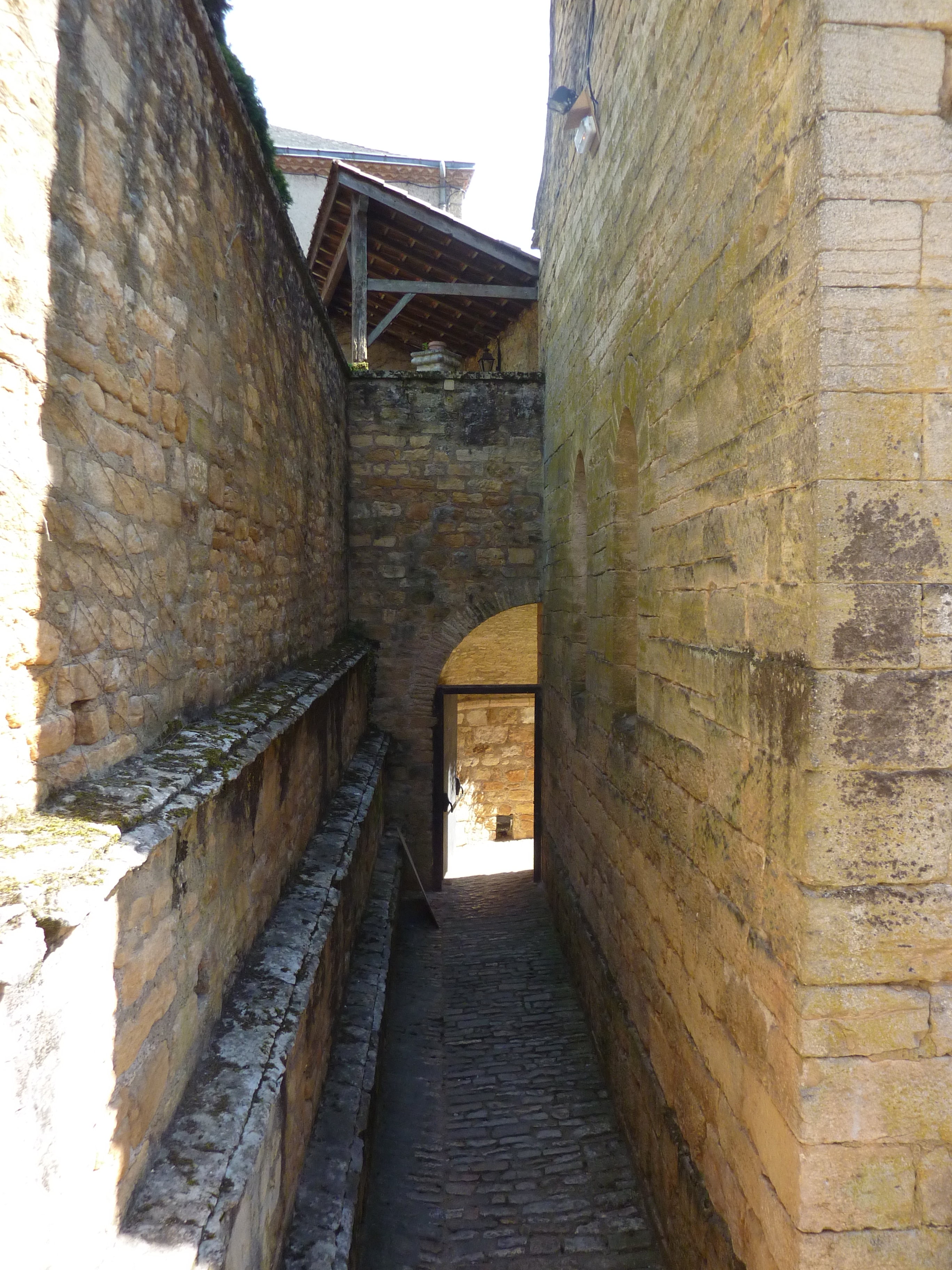 照片 法国(France) 萨尔拉拉卡内达(Sarlat la Caneda) 2009-07 71