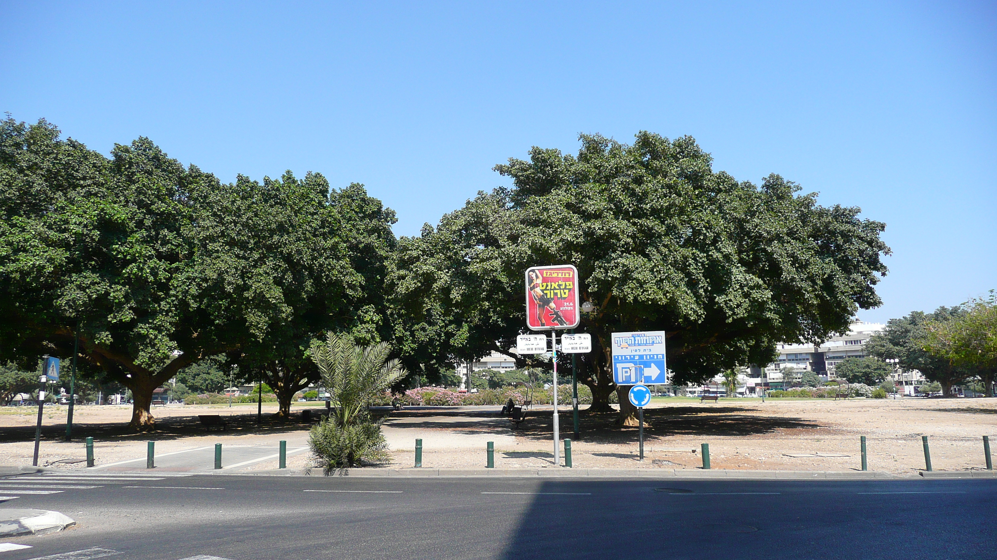 照片 以色列(Israel) 特拉维夫(Tel Aviv) 国家广场(Kikar Hamedina) 2007-06 23