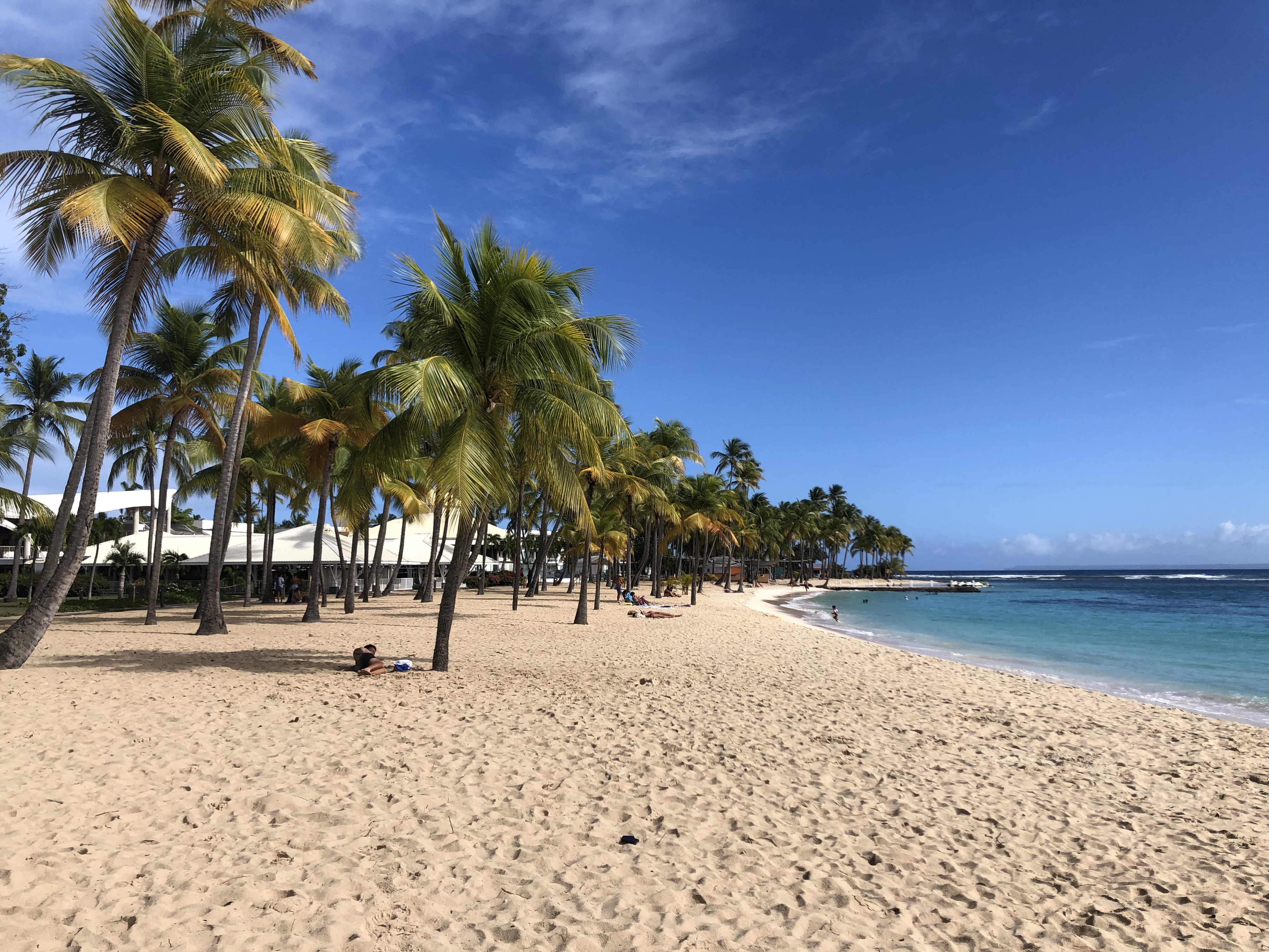 照片 瓜德罗普(Guadeloupe) 卡拉维尔海滩(La Caravelle Beach) 2021-02 0