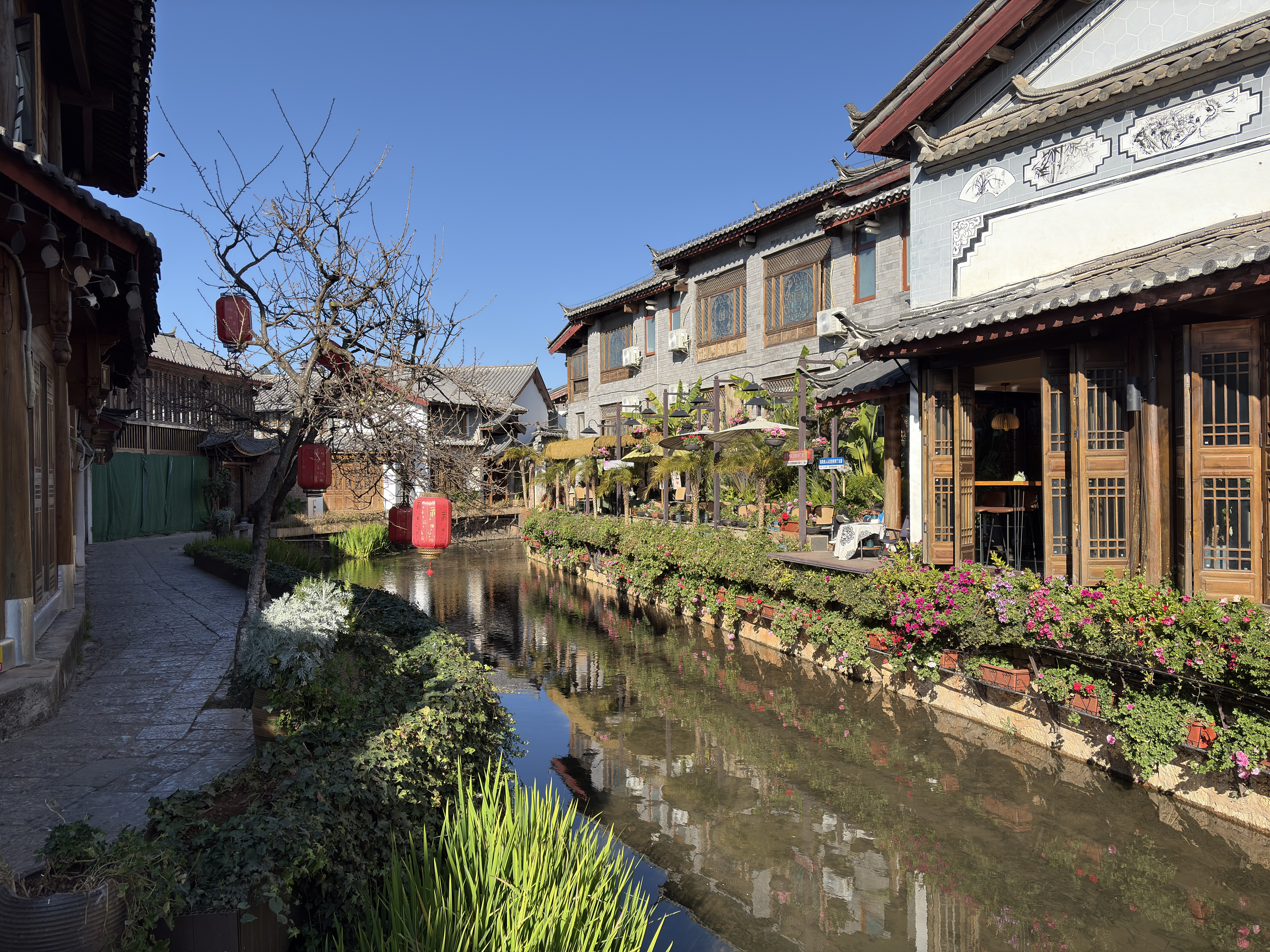 照片 中国(China) 丽江(Lijiang) 2026-01 553