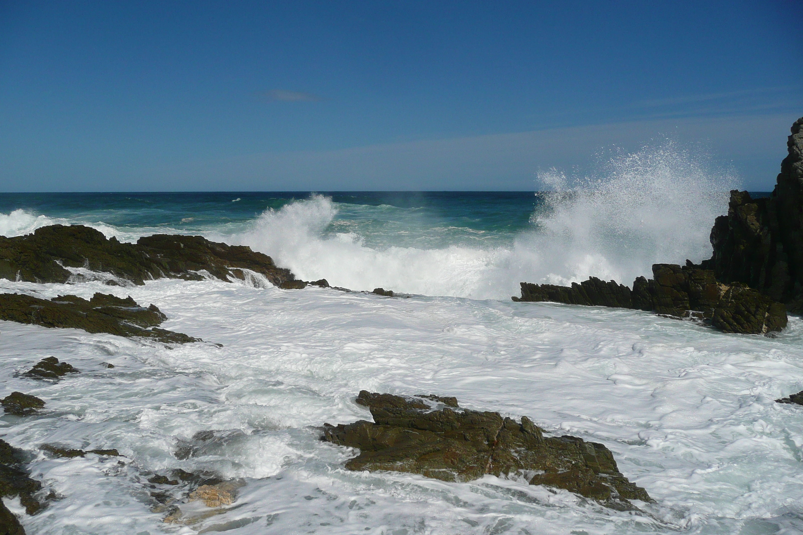 照片 南非(South Africa) 齐齐卡马国家公园(Tsitsikamma National Park) 2008-09 3