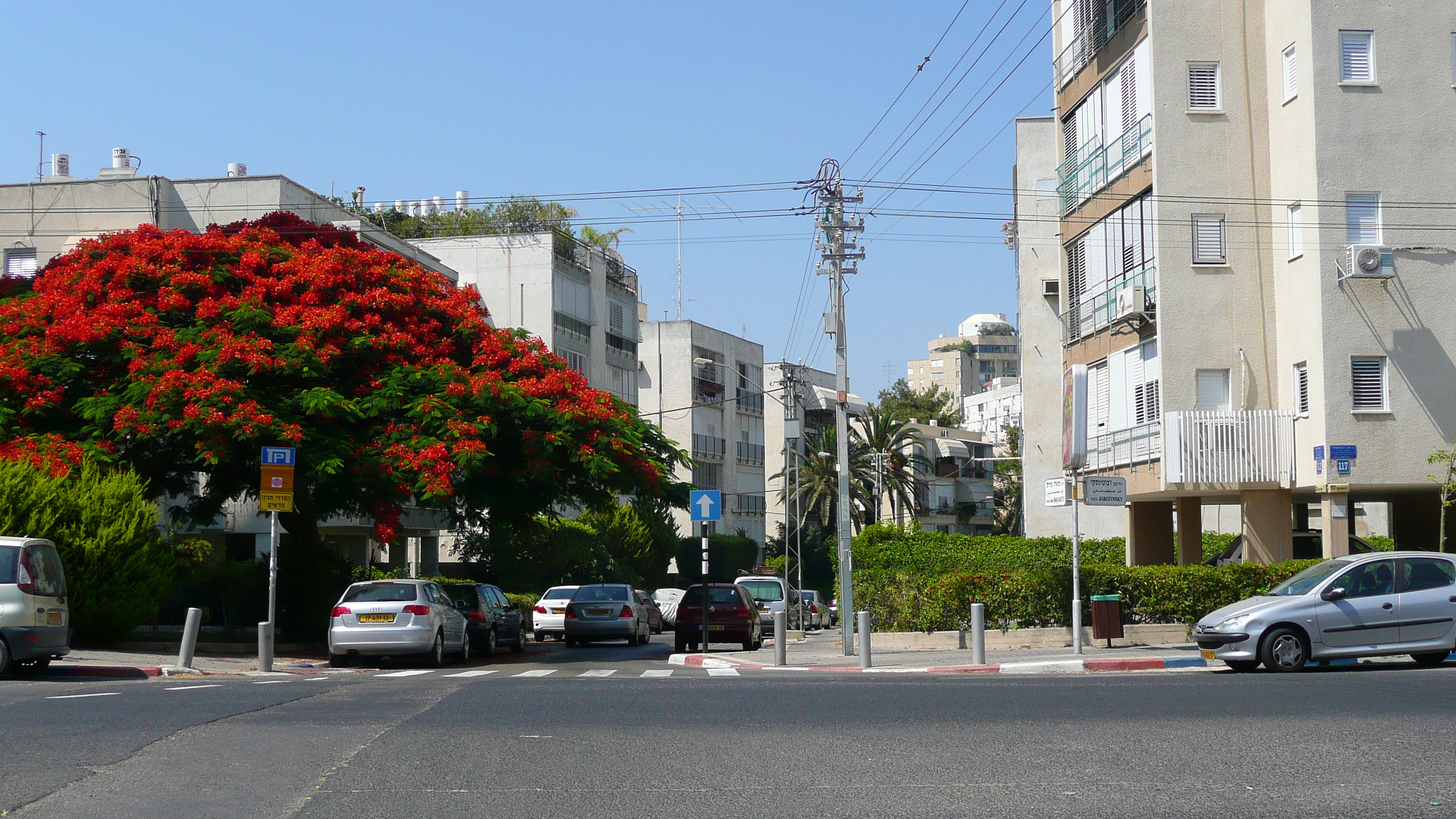 照片 以色列(Israel) 特拉维夫(Tel Aviv) 亚博廷斯基街(Jabotinsky Street) 2007-06 0