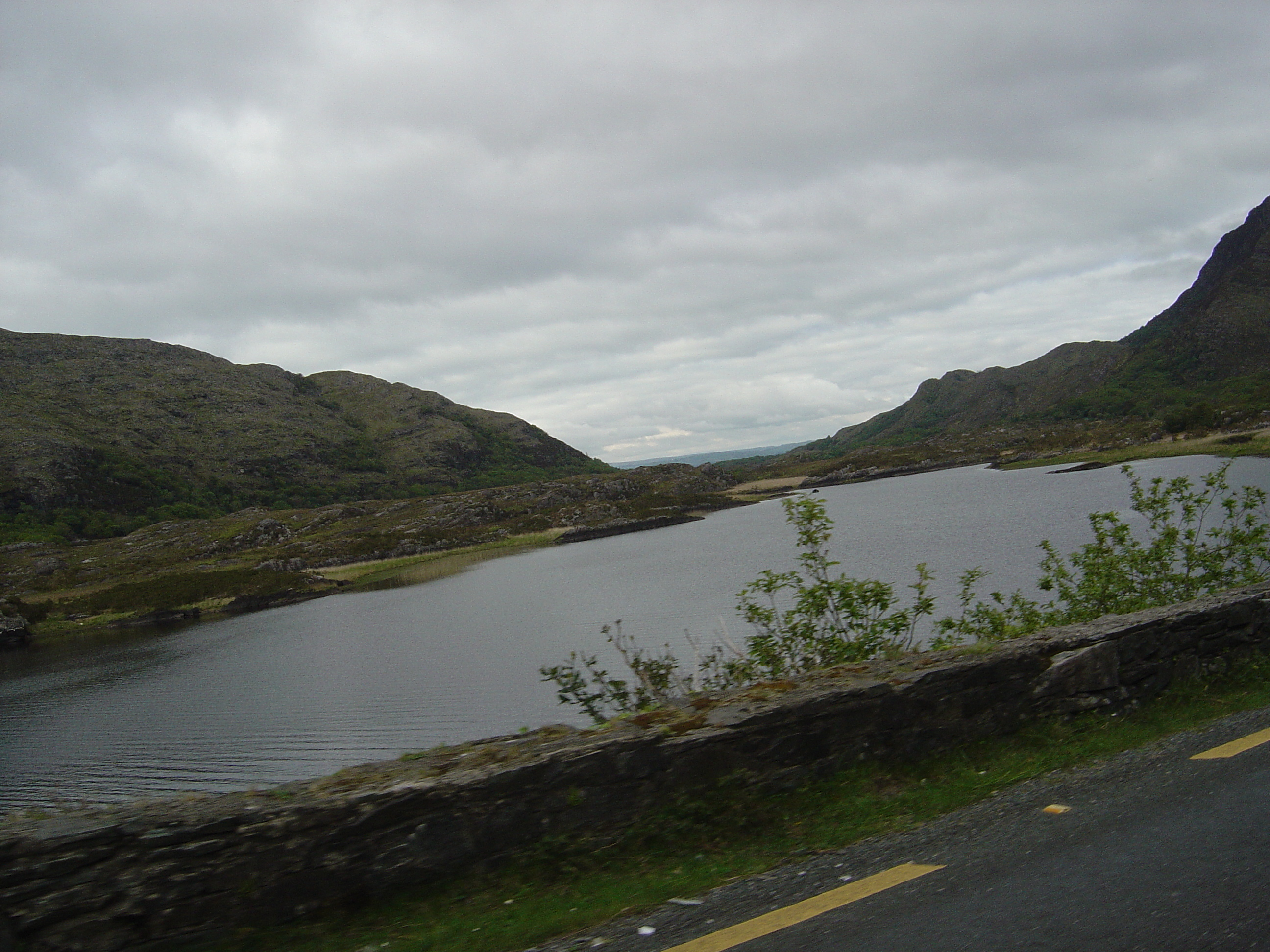 照片 爱尔兰(Ireland) 凯里郡(Kerry) 基拉尼国家公园(Killarney National Park) 2004-05 42