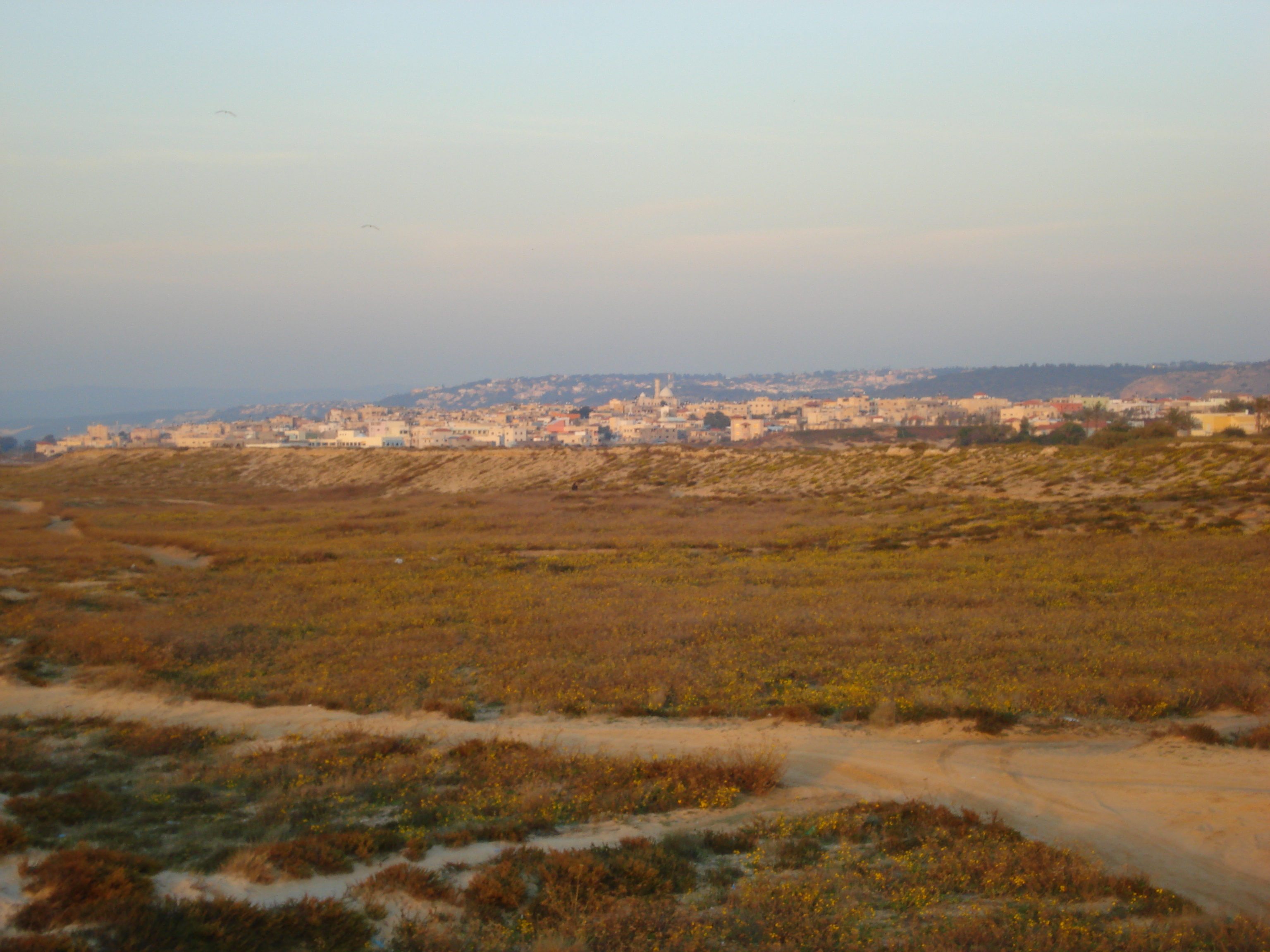 照片 以色列(Israel) 海法至特拉维夫(From Haifa to Tel Aviv) 2006-12 16