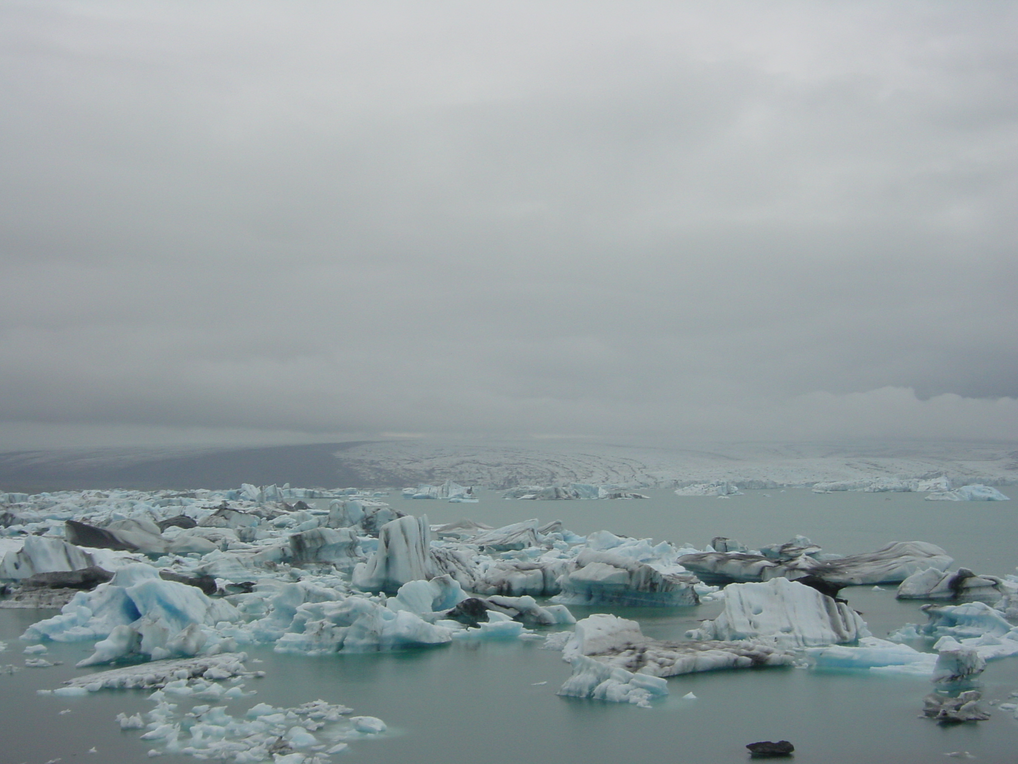照片 冰岛(Iceland) 杰古沙龙冰河湖(Jokulsarlon) 2003-06 26