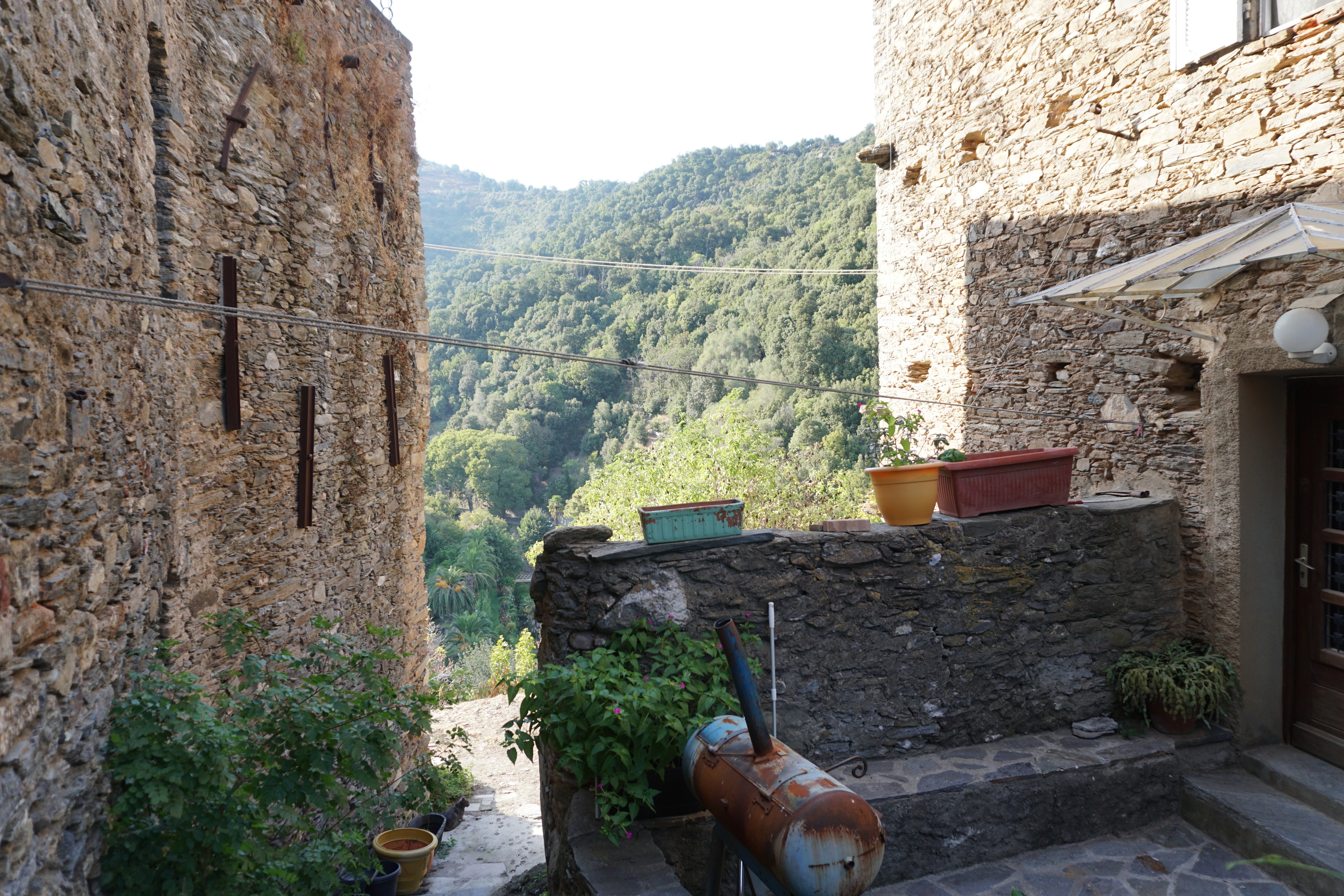 照片 法国(France) 科西嘉岛(Corsica) 韦斯科瓦托(Vescovato) 2017-09 20