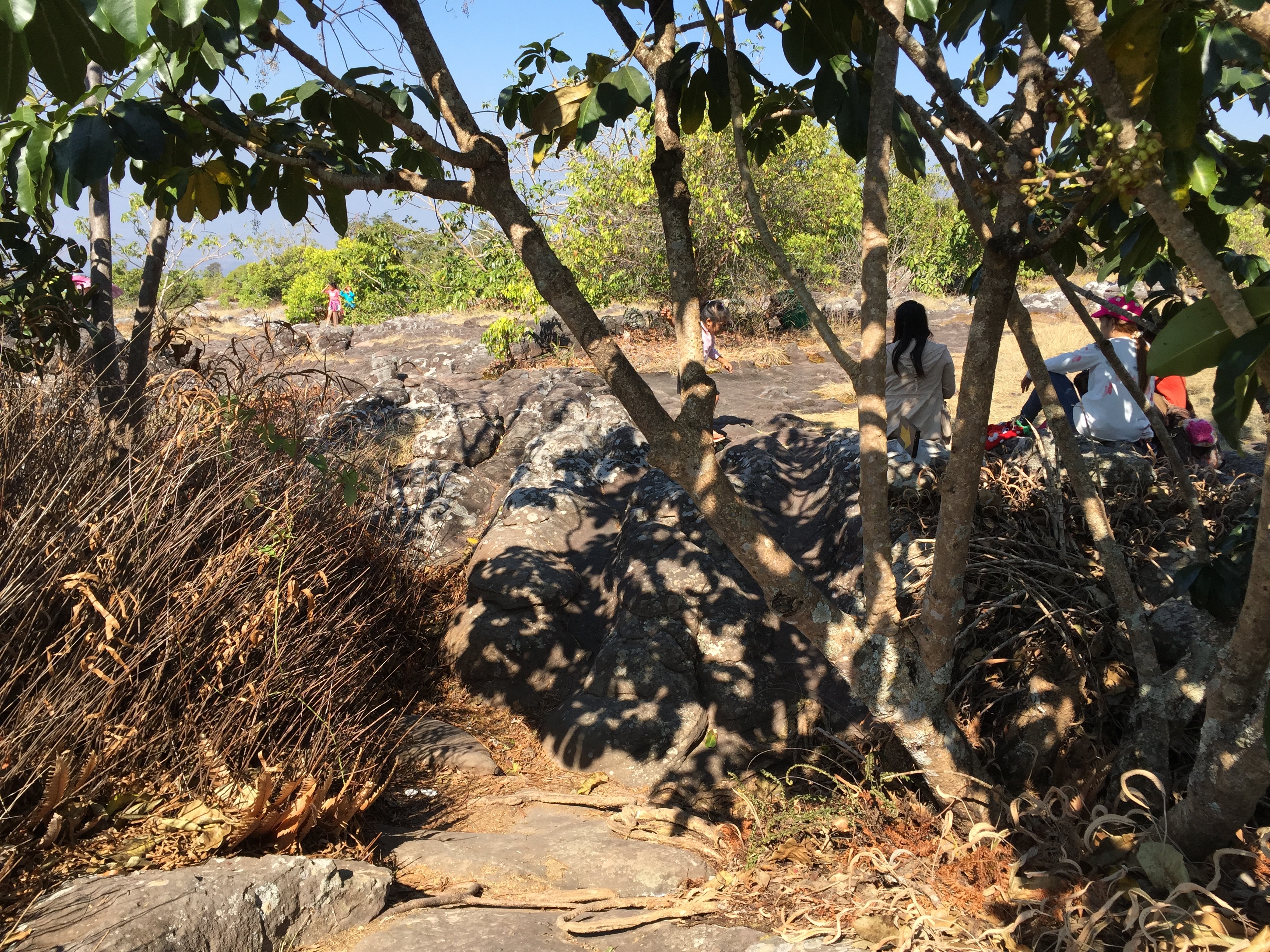 照片 泰国(Thailand) 普欣隆卡国家公园(Phu Hin Rong Kla National Park) 2014-12 389