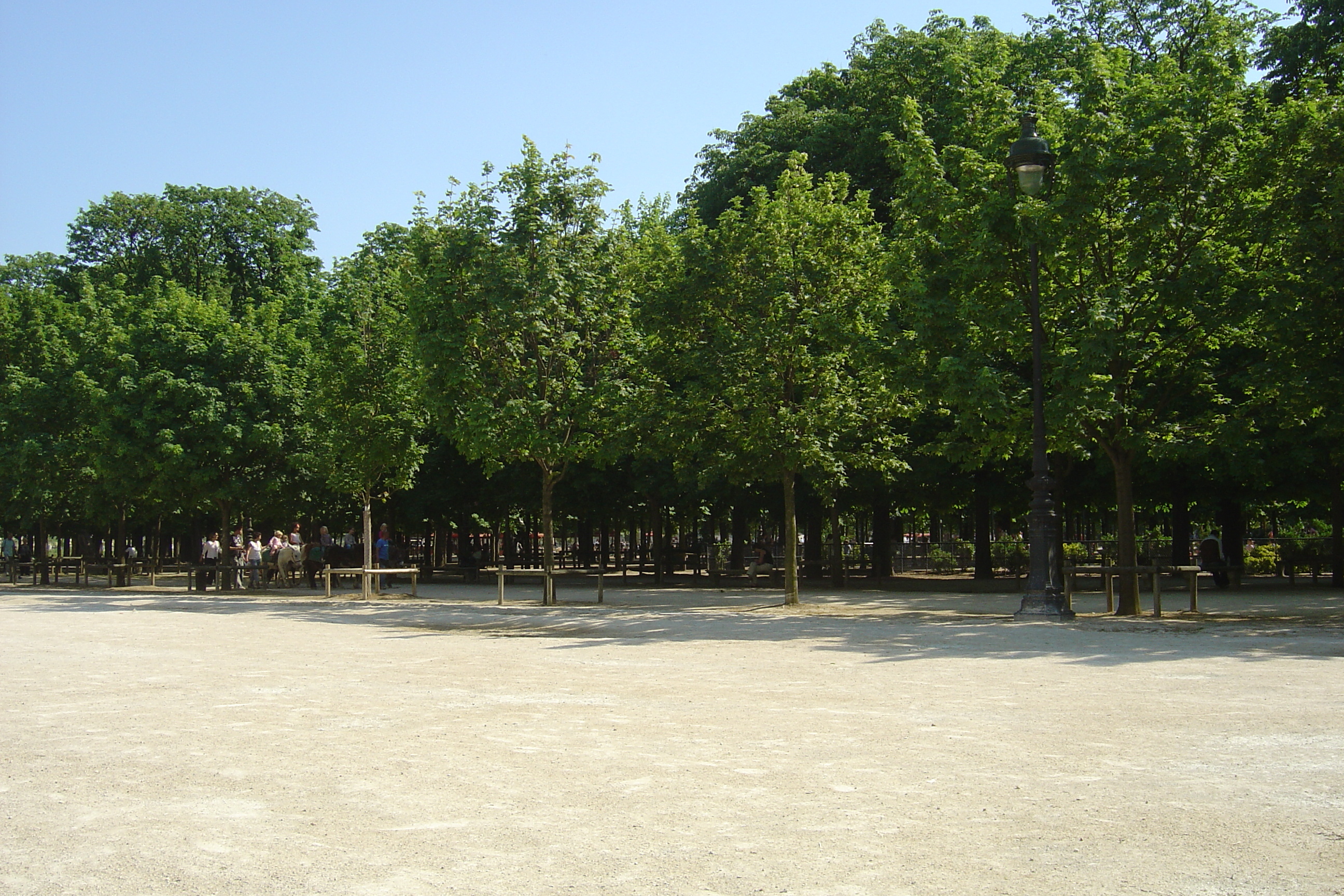 照片 法国(France) 巴黎(Paris) 杜乐丽花园(Garden of Tuileries) 2007-05 329