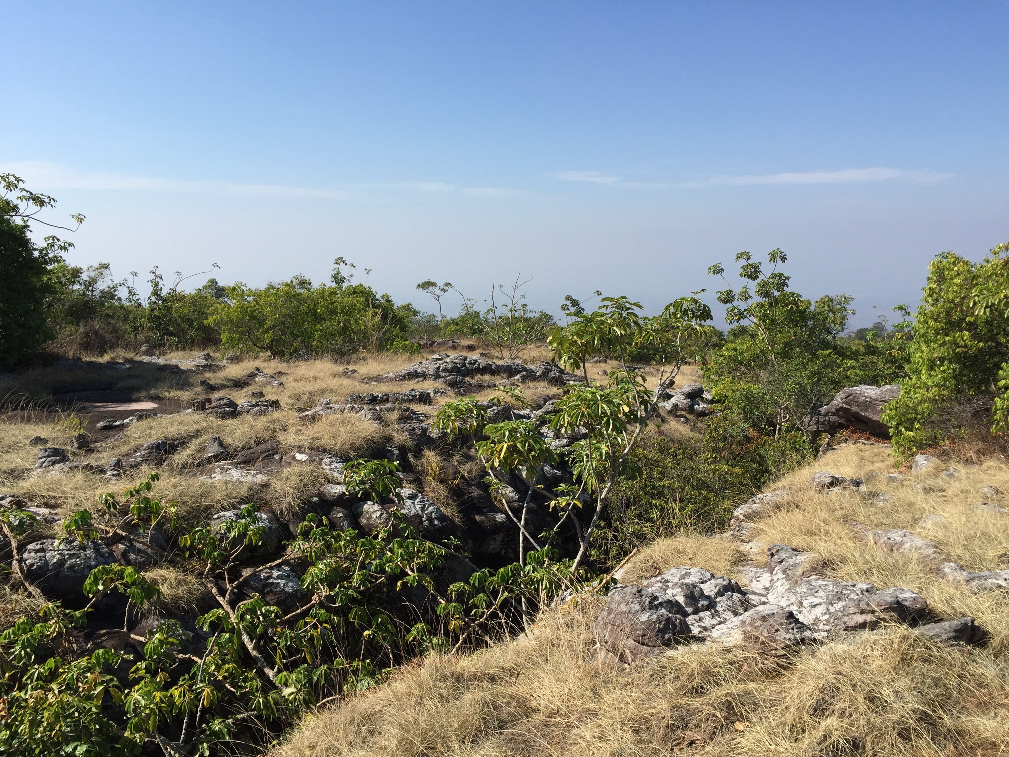 照片 泰国(Thailand) 普欣隆卡国家公园(Phu Hin Rong Kla National Park) 2014-12 73