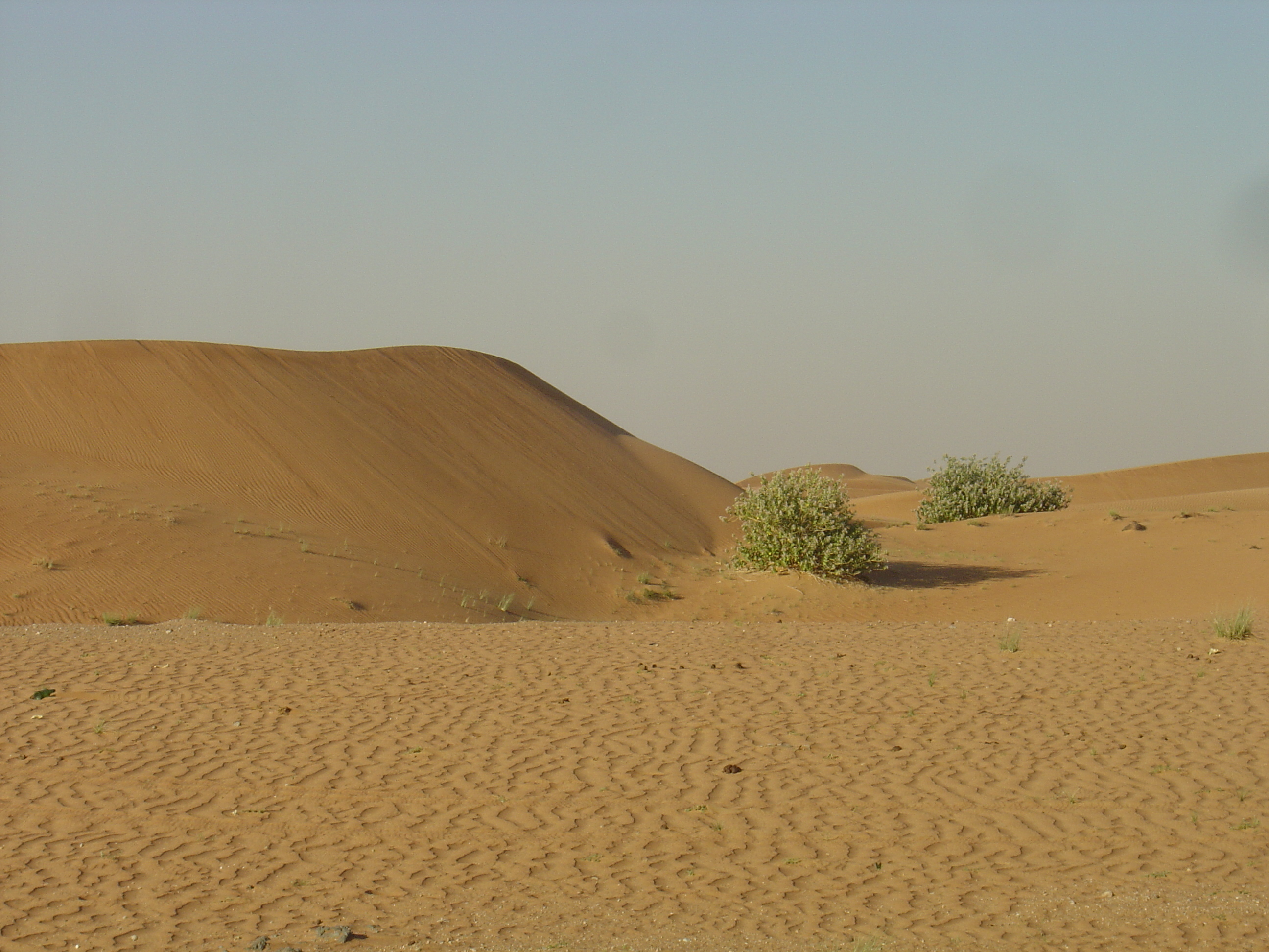 照片 阿联酋(United Arab Emirates) 迪拜至艾因公路(Dubai to Al Ain road) 2005-03 48