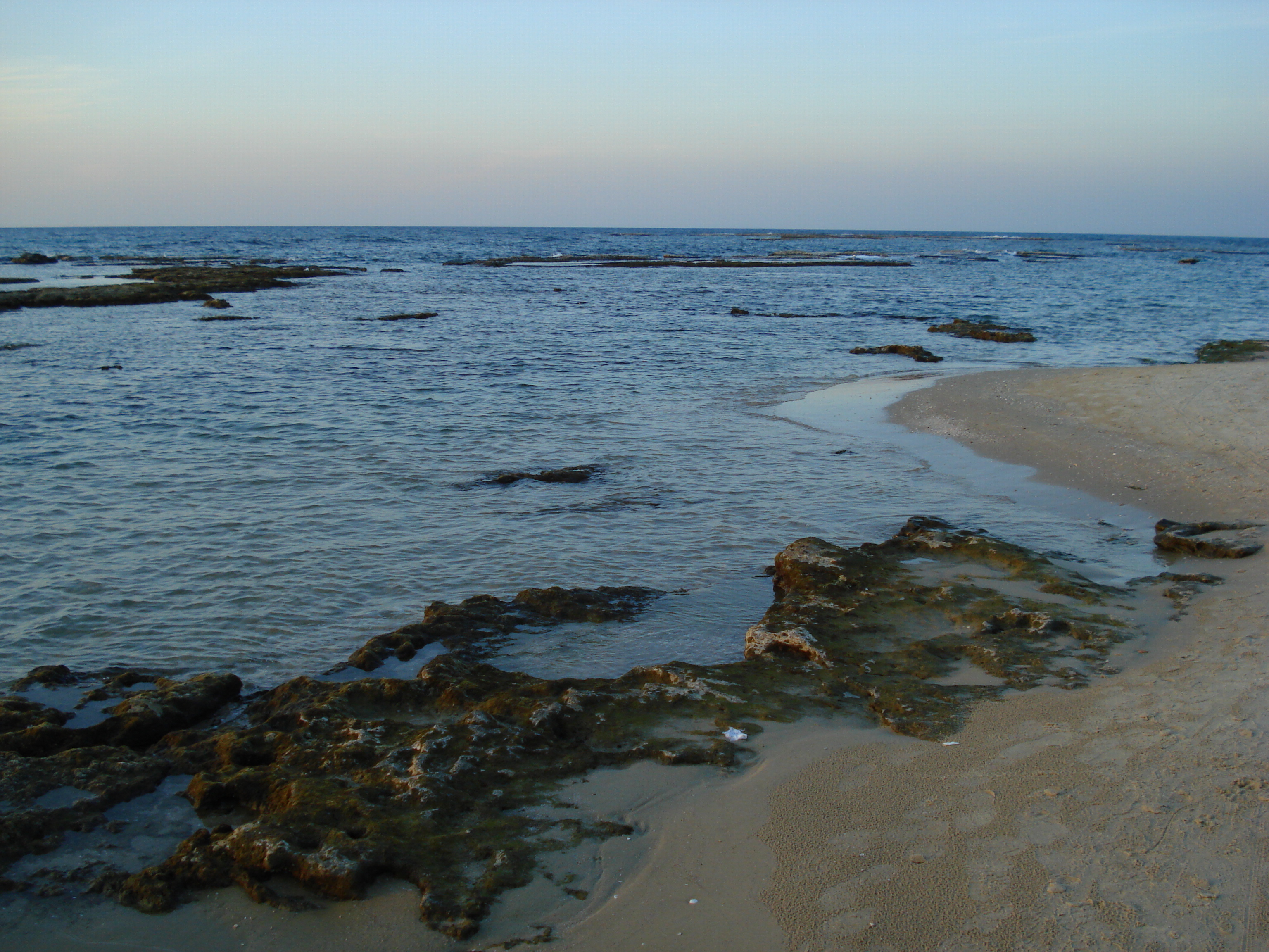 照片 以色列(Israel) 海法至特拉维夫(From Haifa to Tel Aviv) 2006-12 77
