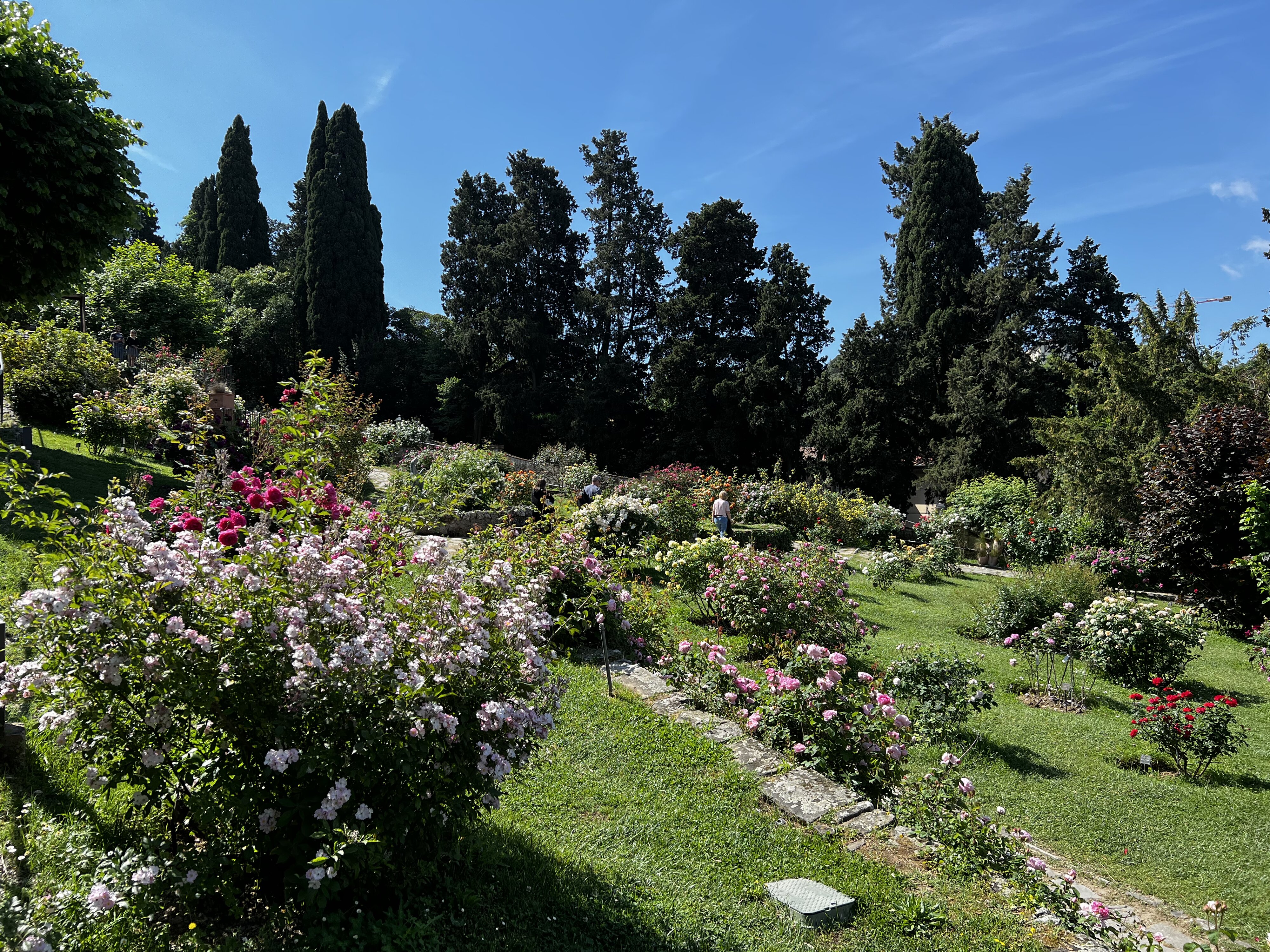 照片 意大利(Italy) 佛罗伦萨(Florence) 2022-05 7