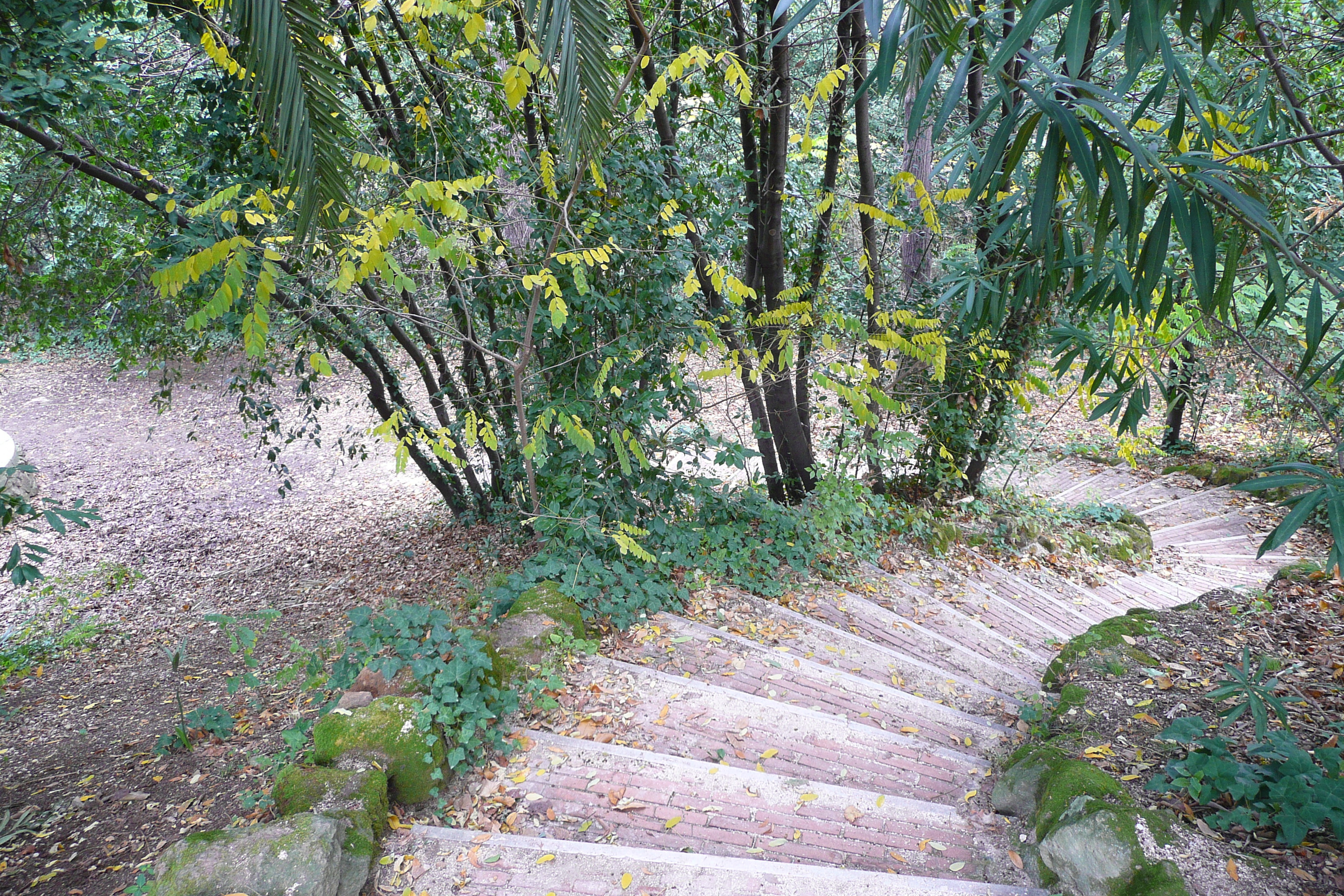 照片 意大利(Italy) 罗马(Rome) 夏拉别墅公园(Villa Sciarra) 2007-11 36